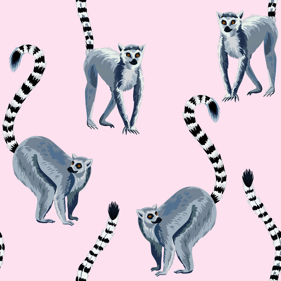 Lemur Wild Animal Wallpaper buy