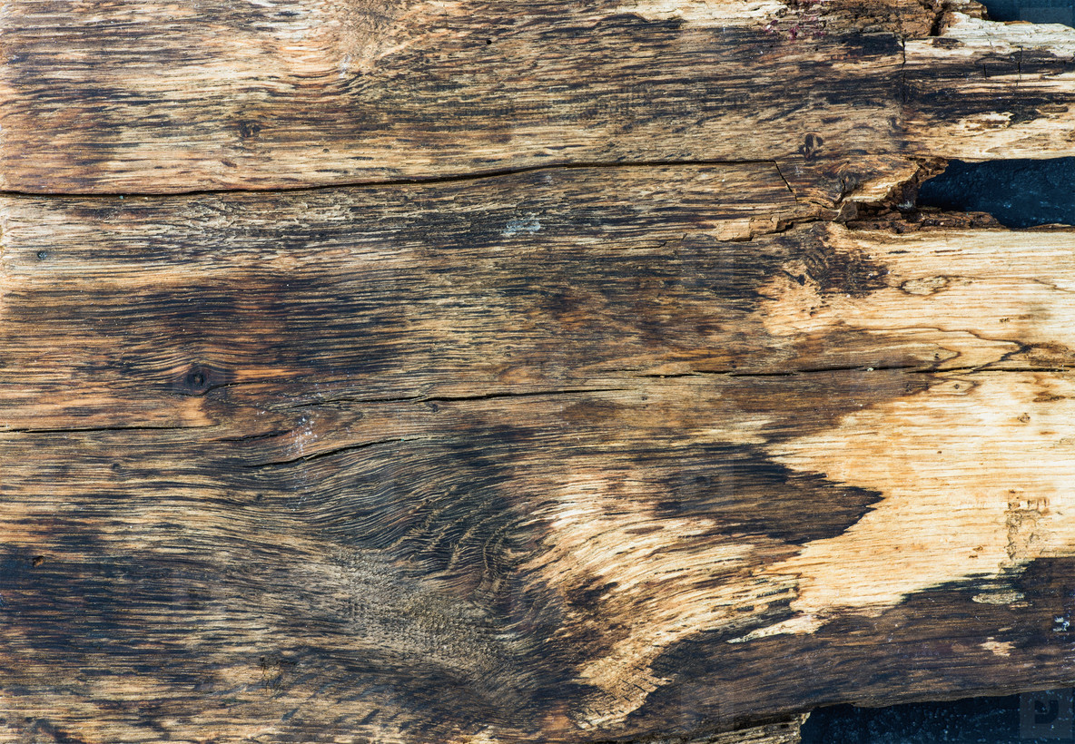 Old rustic natural wood texture