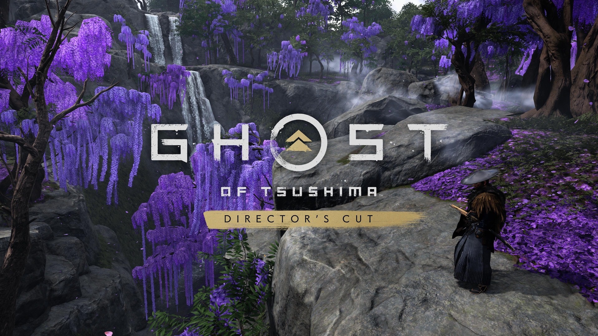 Ghost of Tsushima: Director's Cut' is