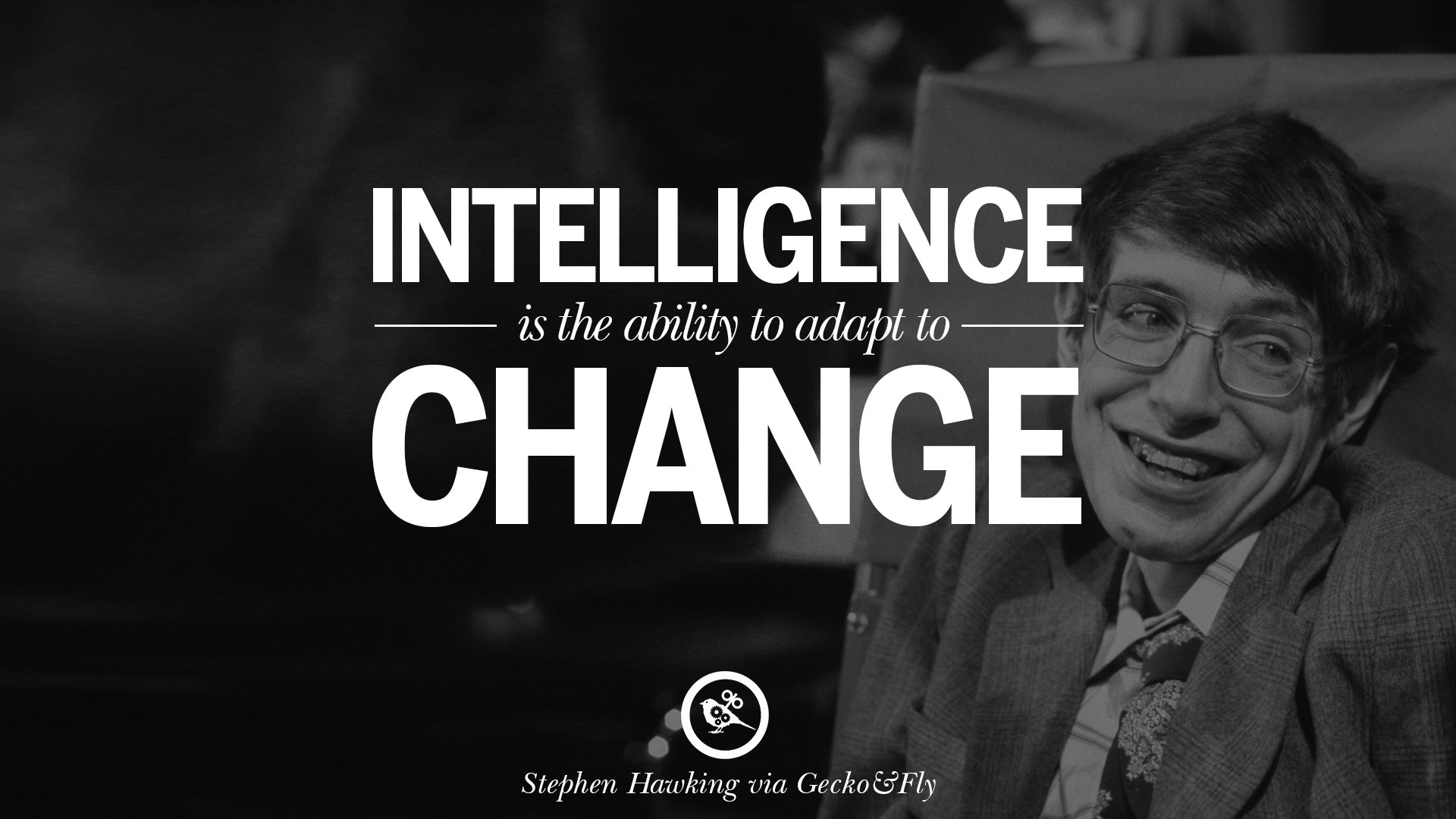 Stephen Hawking On The Theory Of