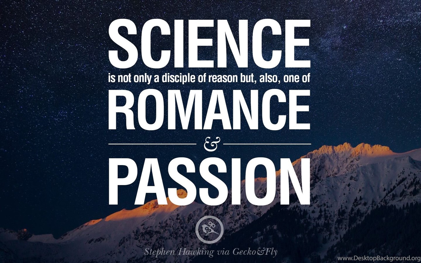 Stephen hawking quotes Desktop