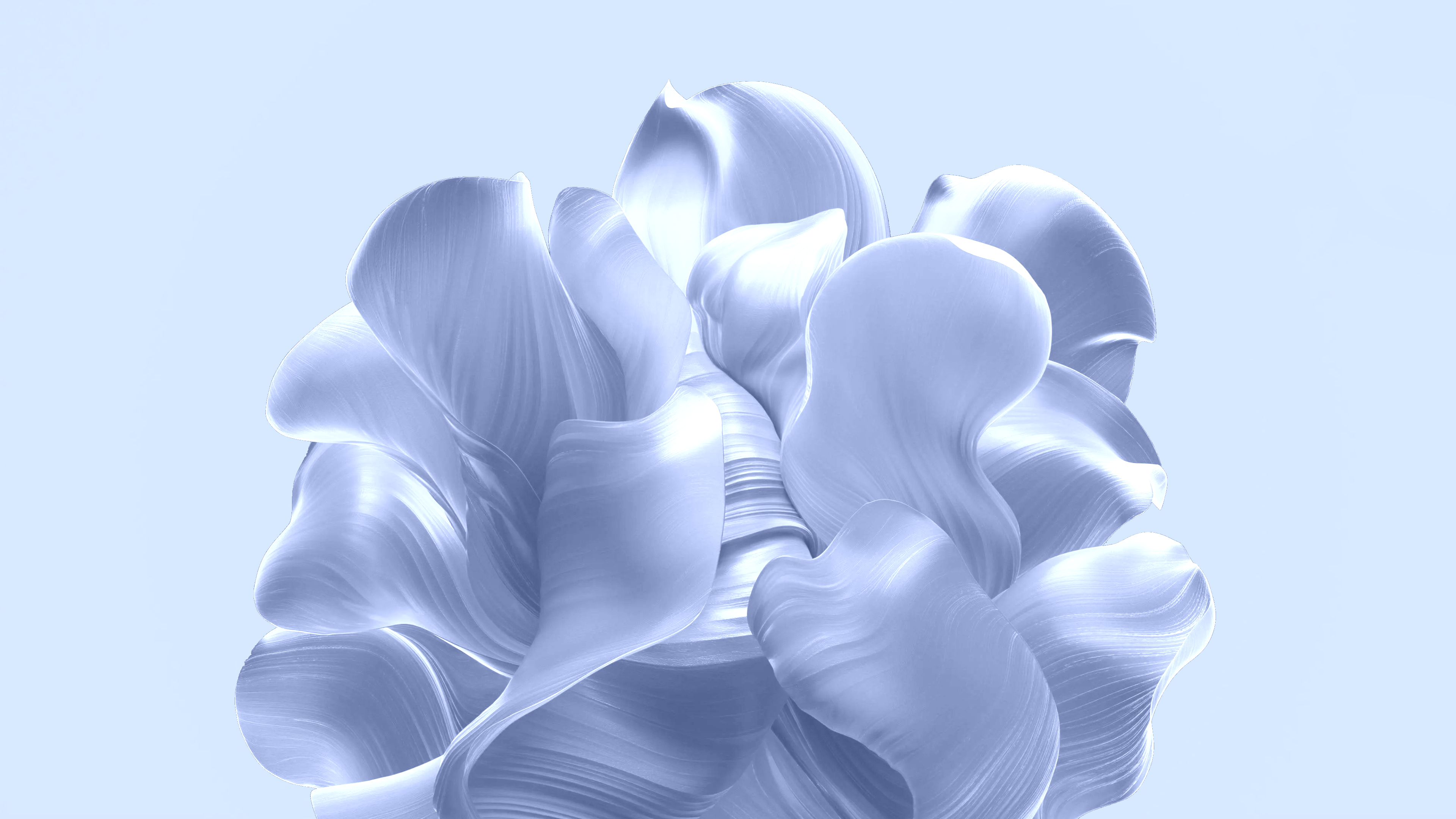 Windows 11's prototype Bloom wallpaper