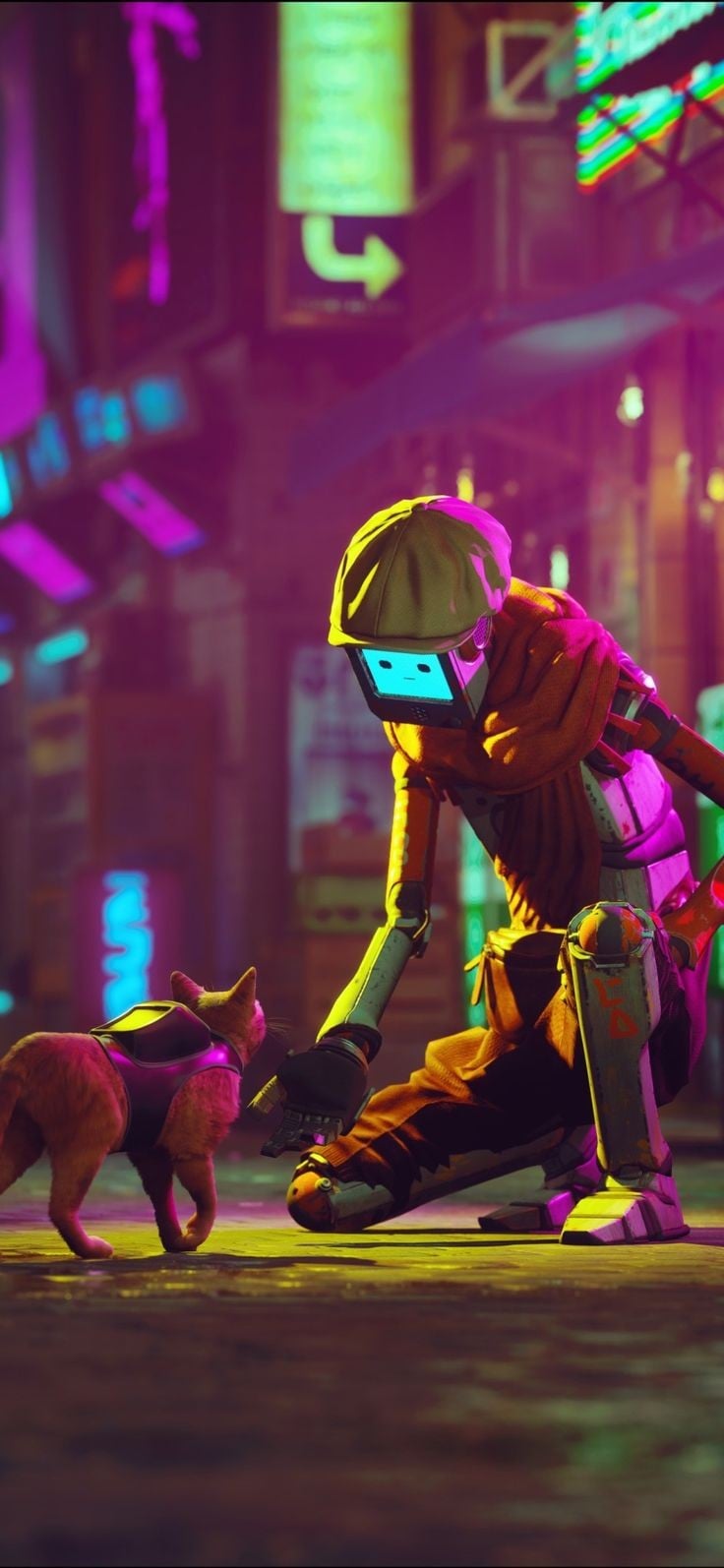Is there a stray wallpaper out there