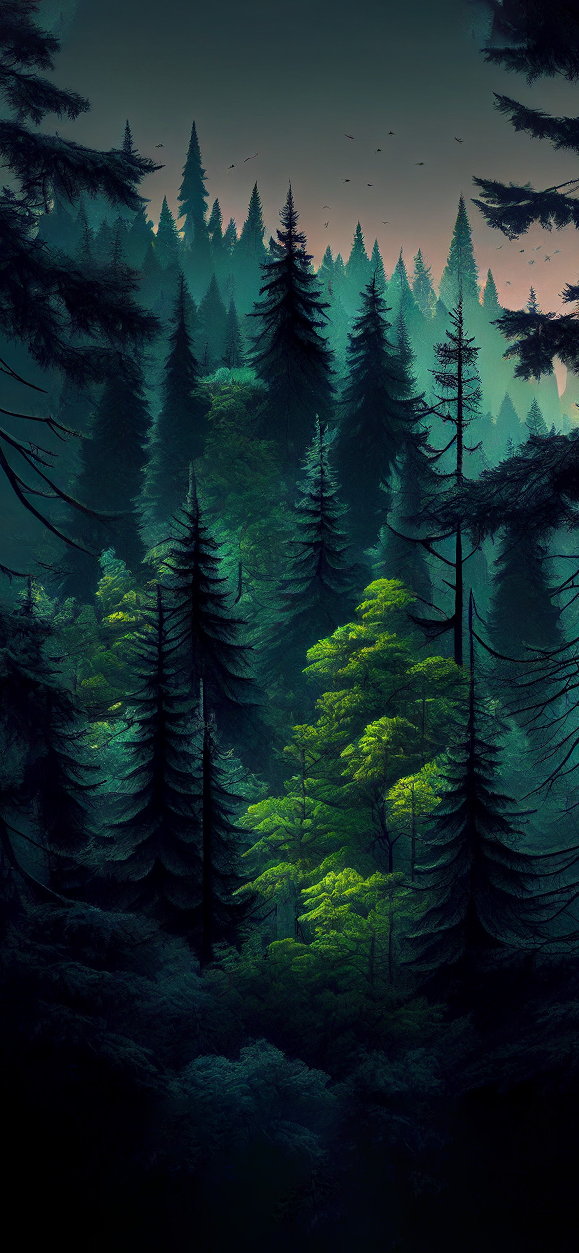 Coniferous Green Forest Wallpaper Aesthetic Wallpaper