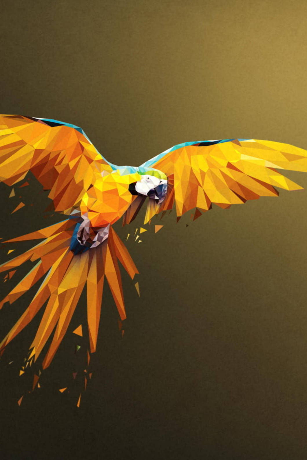 Yellow Parrot iPhone 4s Wallpaper