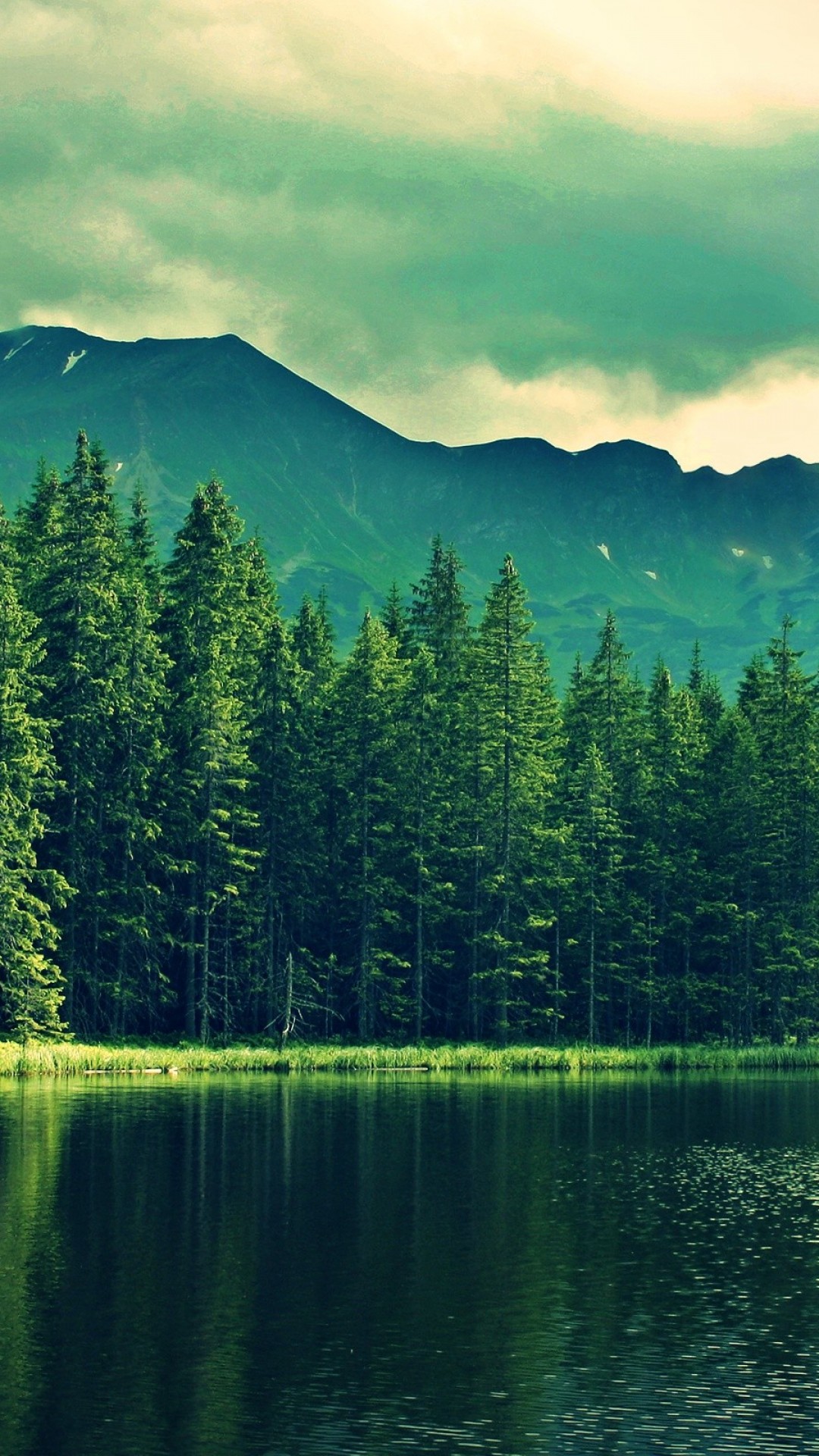 Mountain Forest HD Wallpaper iPhone 6