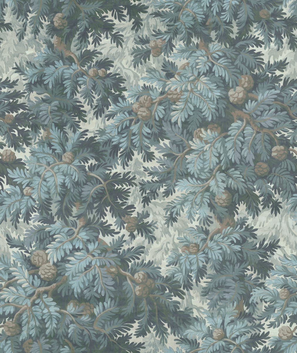 Spruce Forest Blue. Rebel