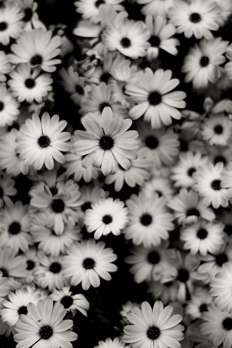 Download wallpaper 800x1200 black white