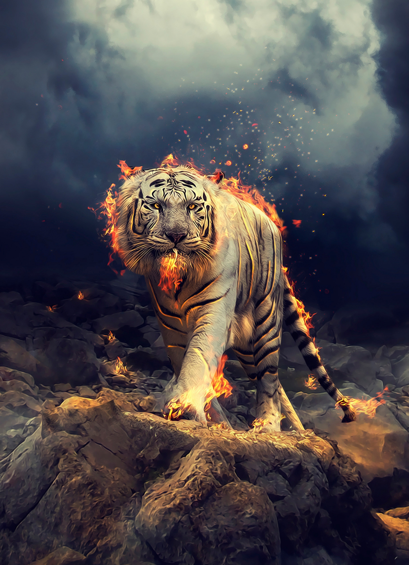 wallpaper 840x1160 angry, raging