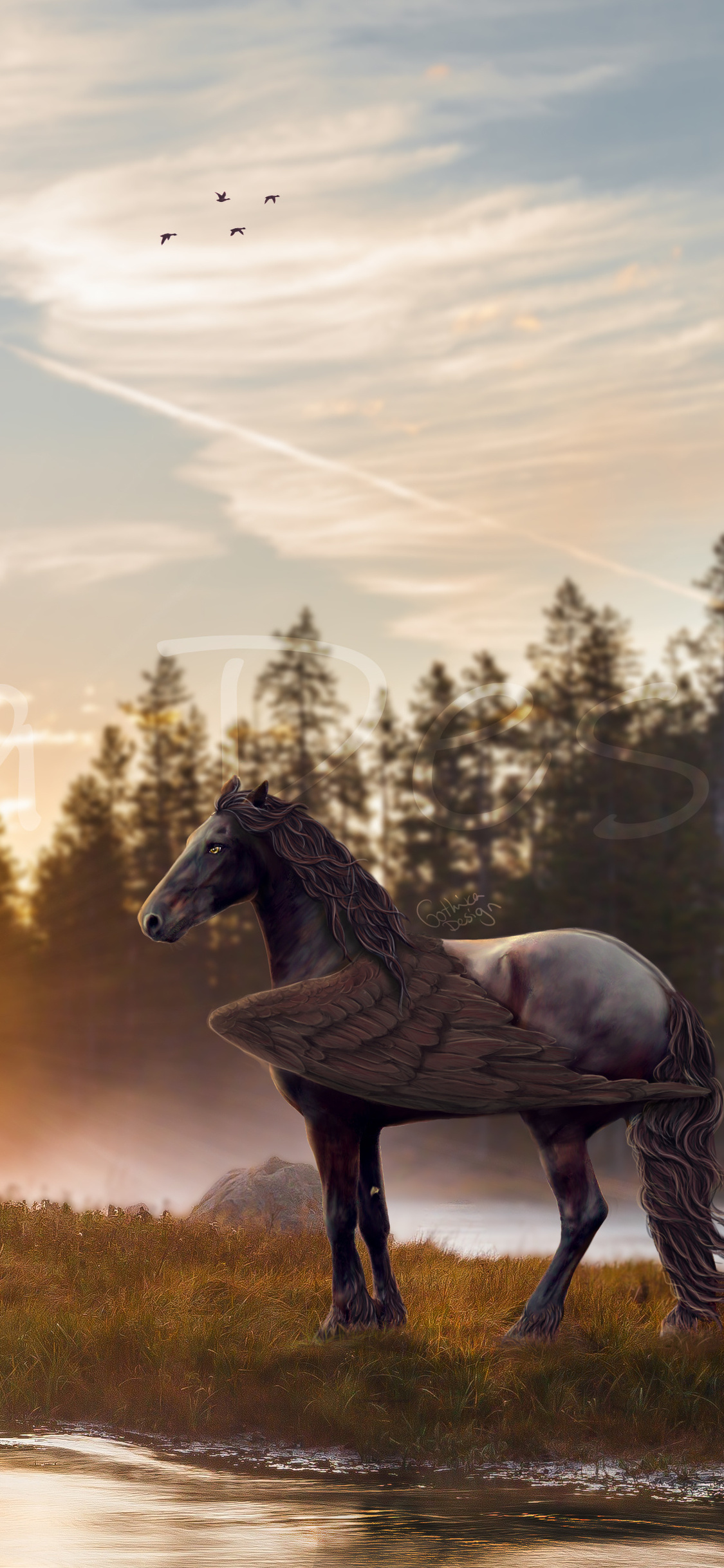 Horse Magical Mysterious 4k