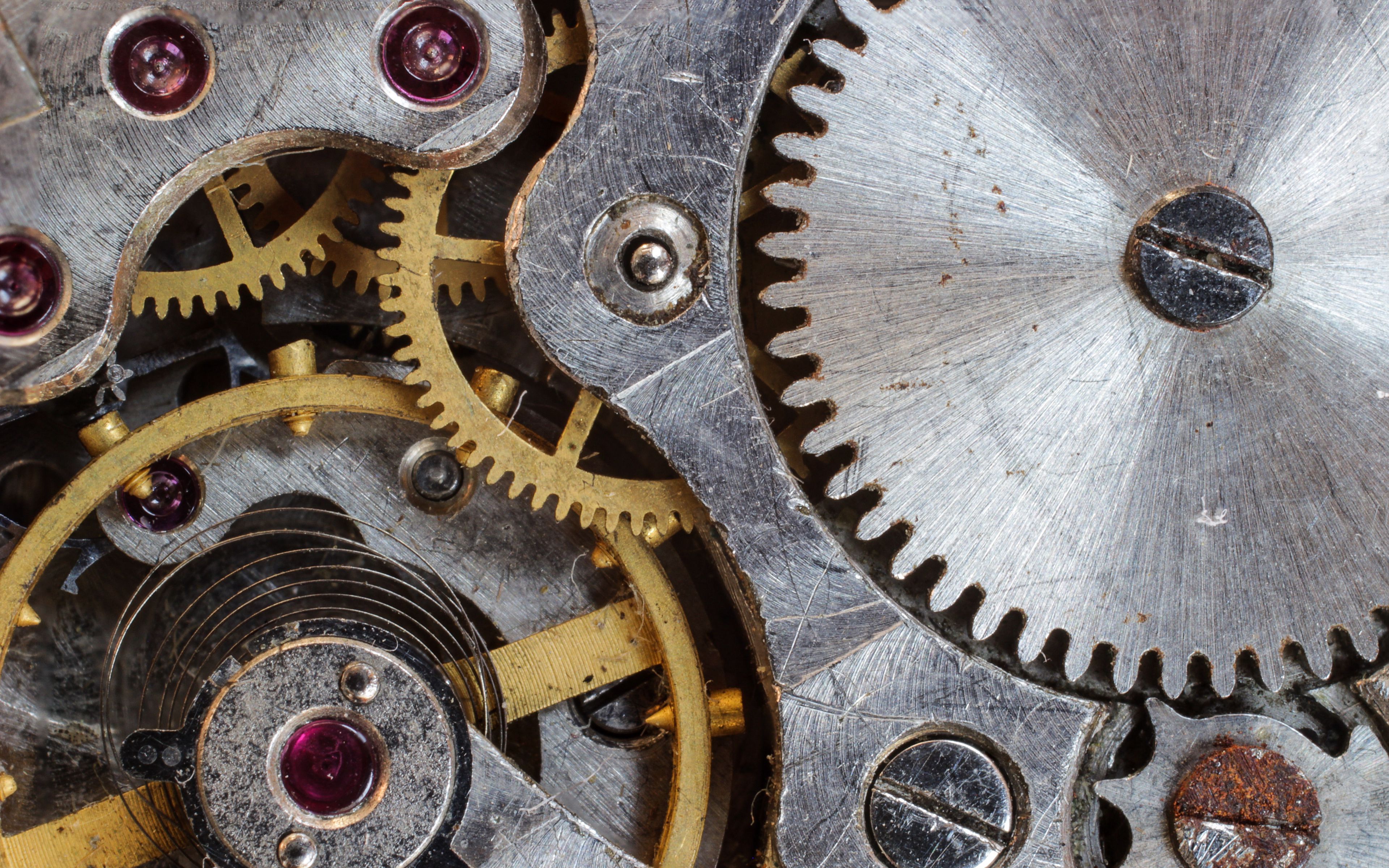 Download wallpaper 3840x2400 focus