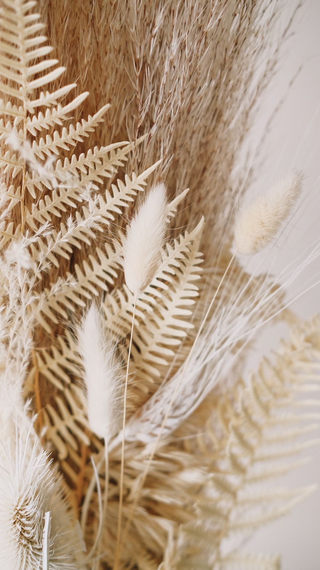 Beige Wallpaper Beige