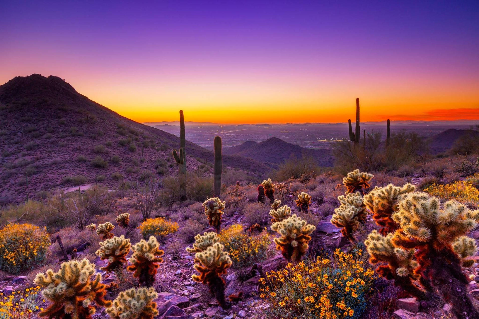 Arizona Desert Background