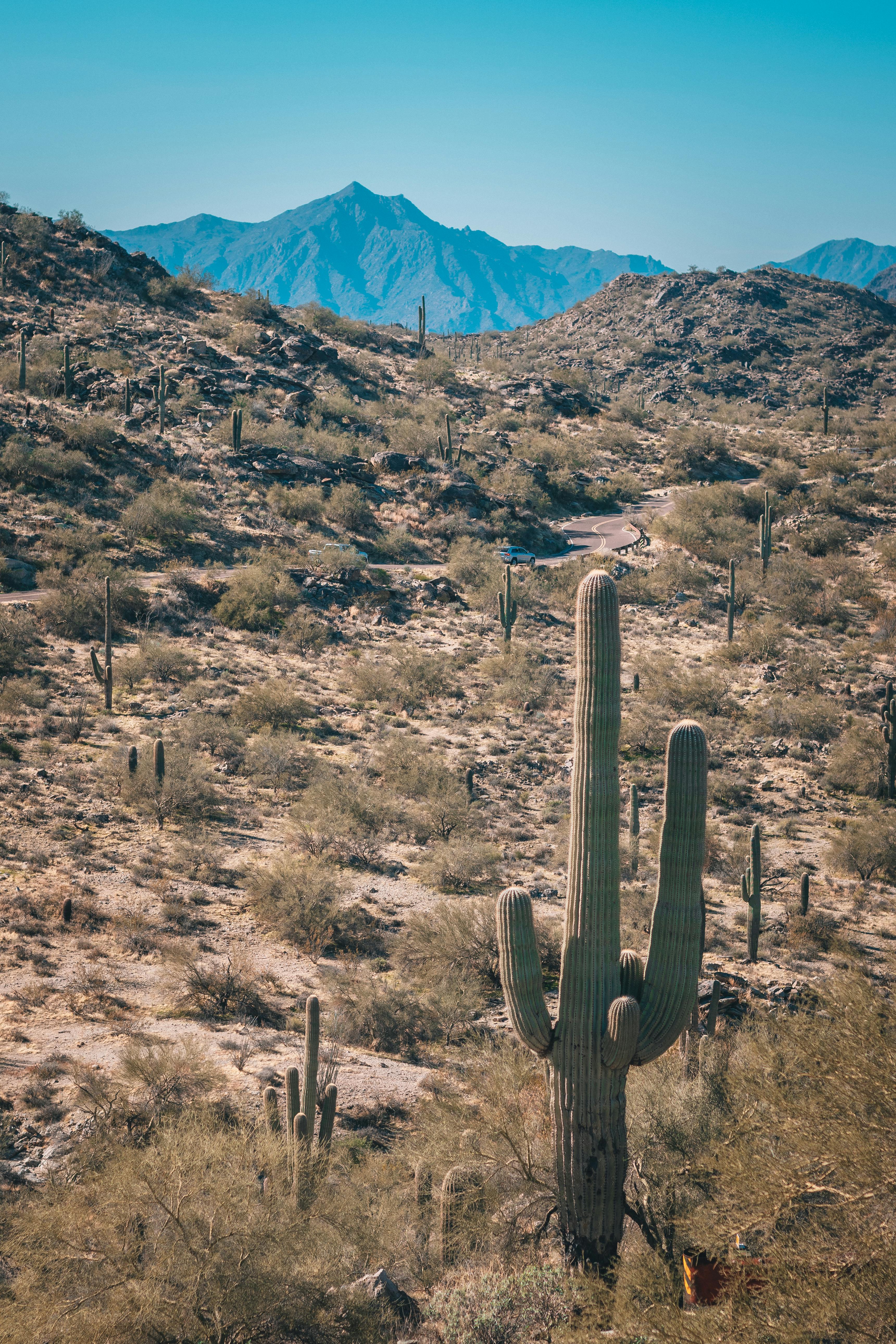 Arizona Desert Photo, Download