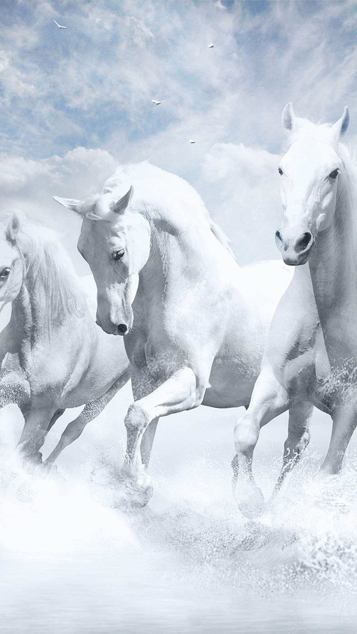 Horse wallpaper, Horses, White horses