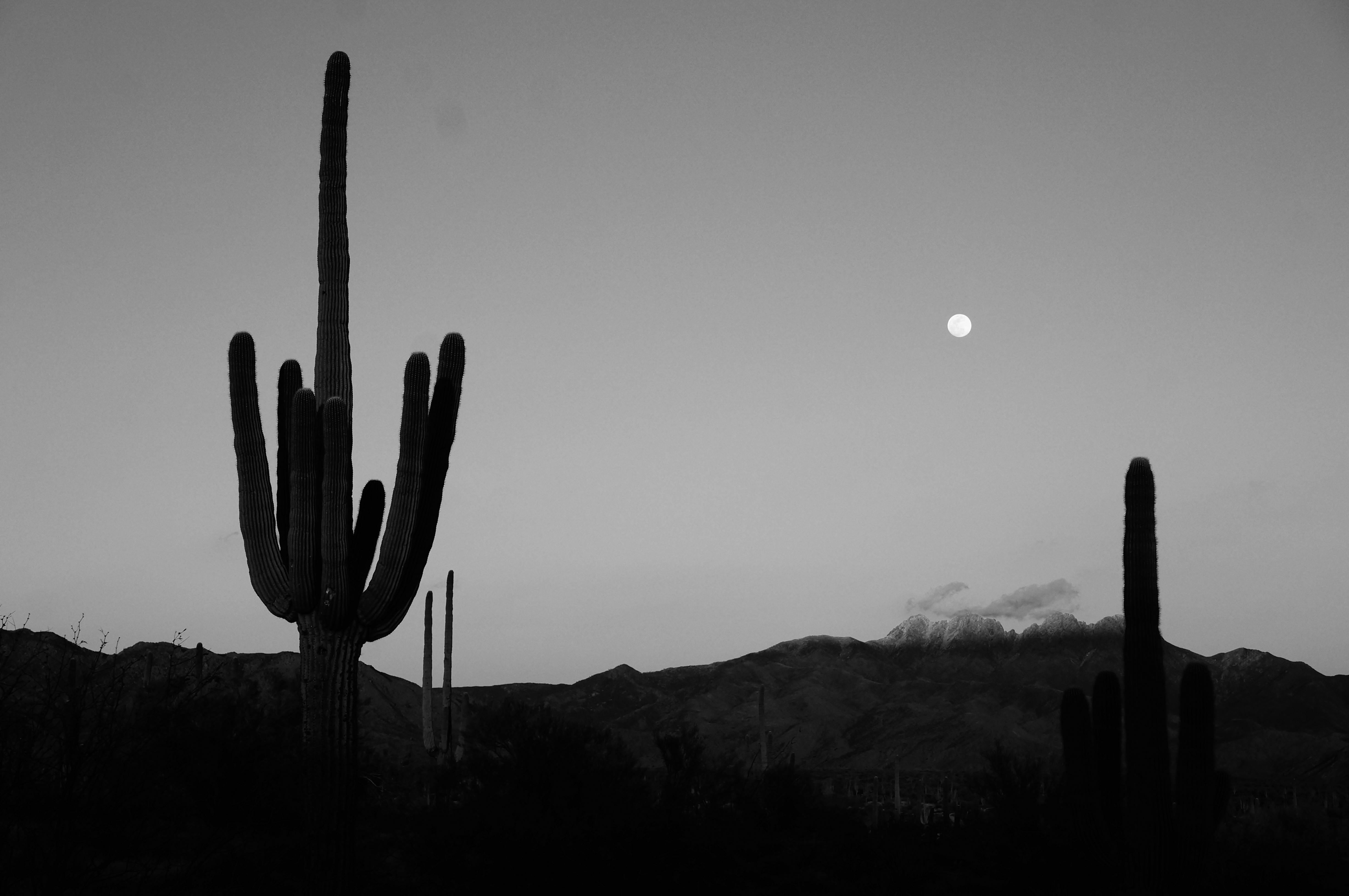 Arizona Desert Photo, Download