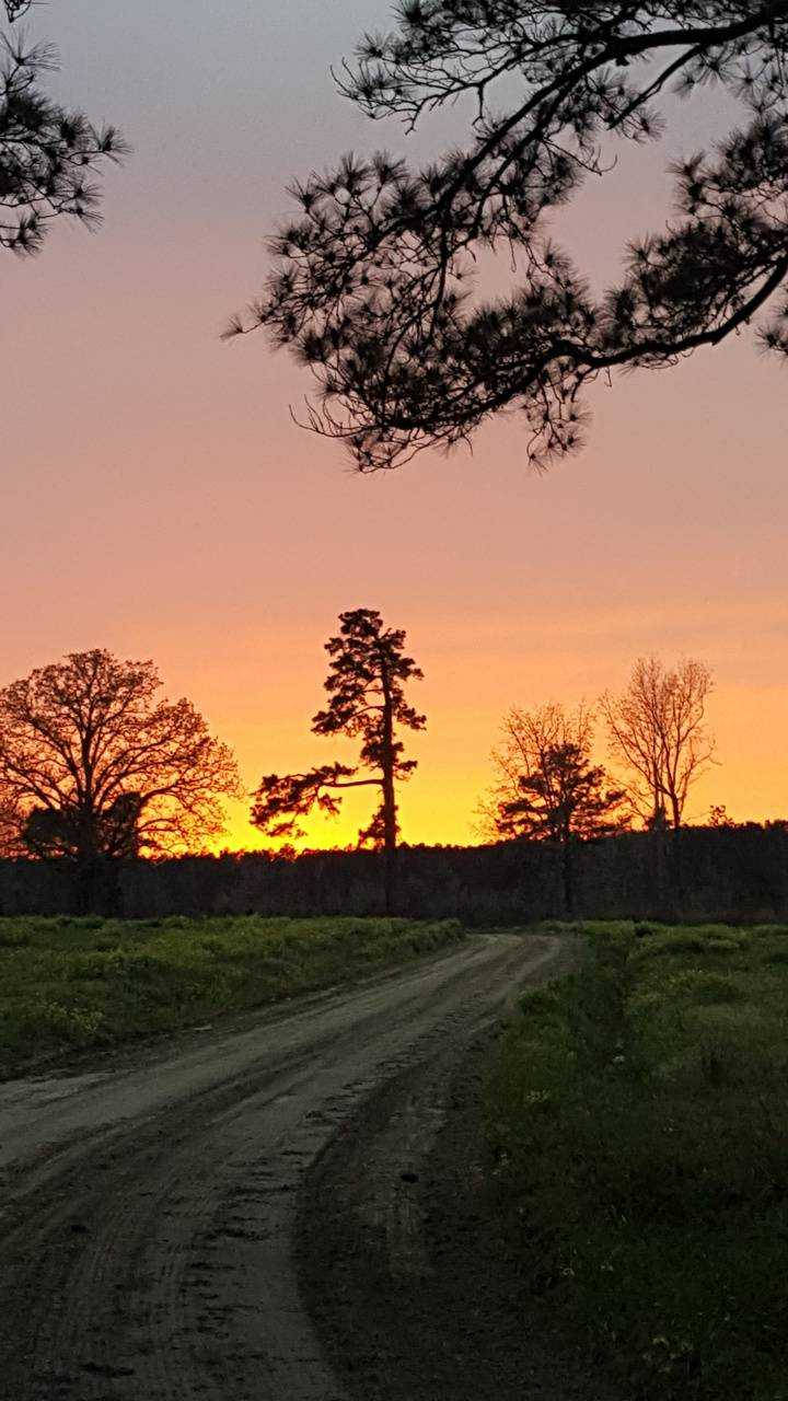 Download Country iPhone Wallpaper