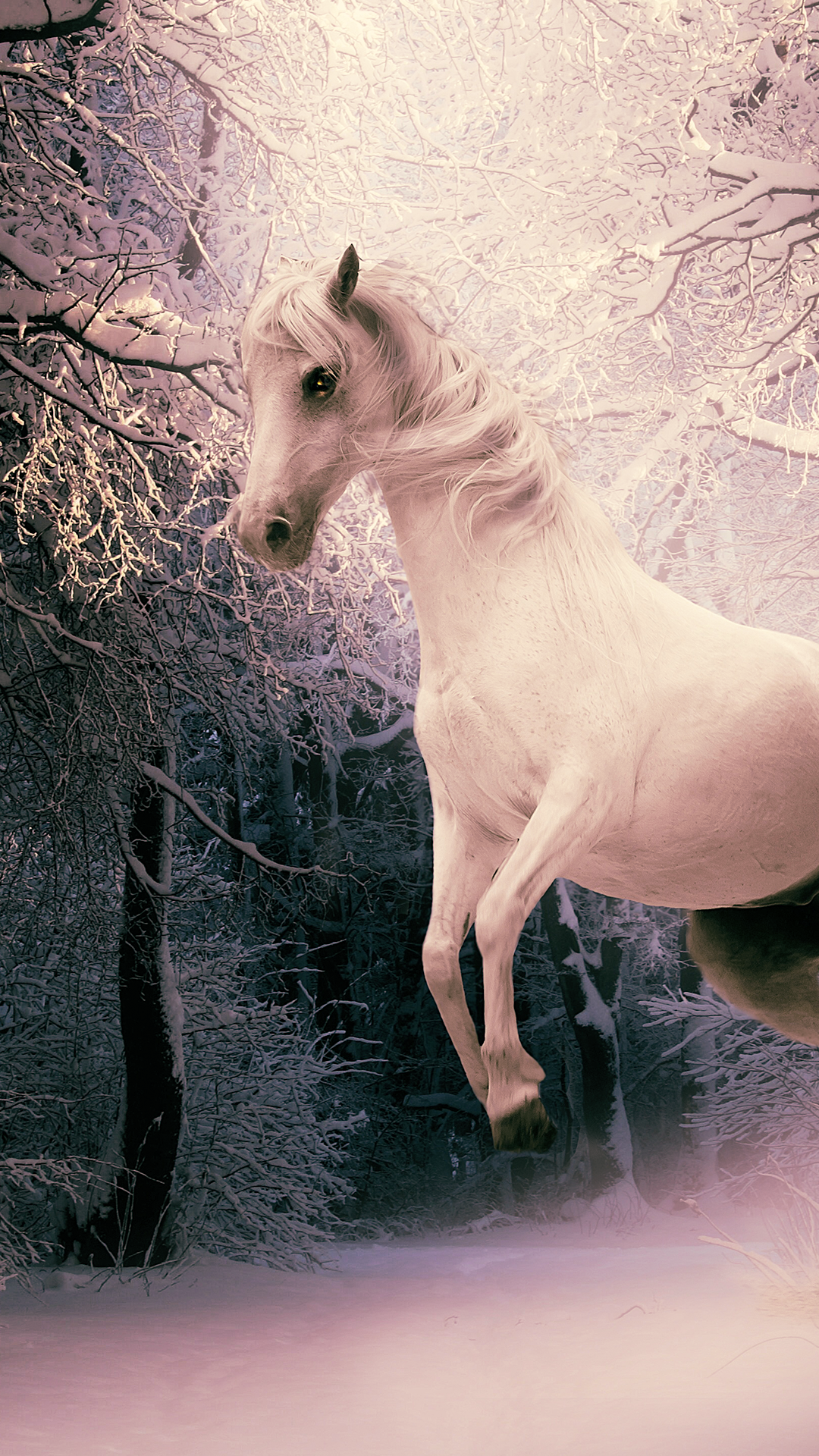 Horse Wallpaper iPhone 13