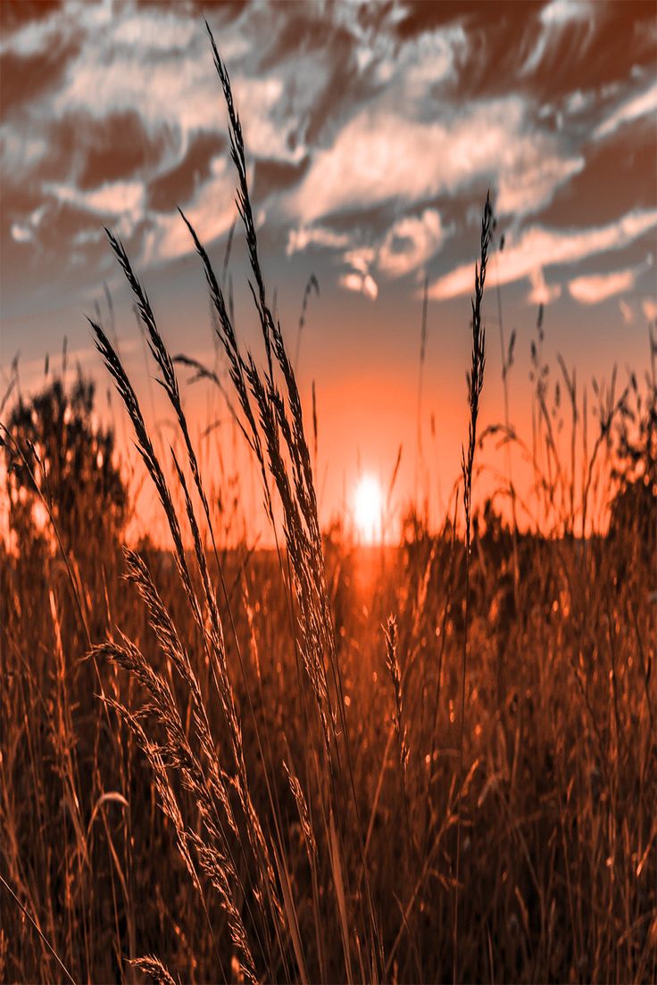 Sunset Wallpaper. Country background