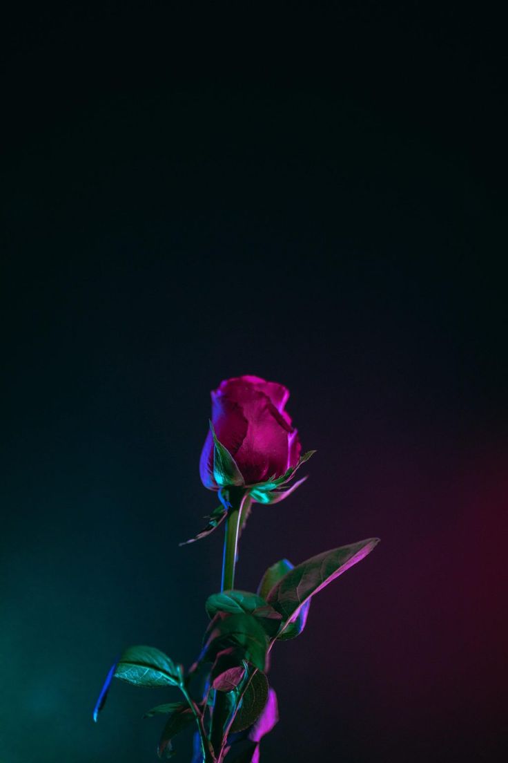 Trendy Neon Wallpaper For iPhone