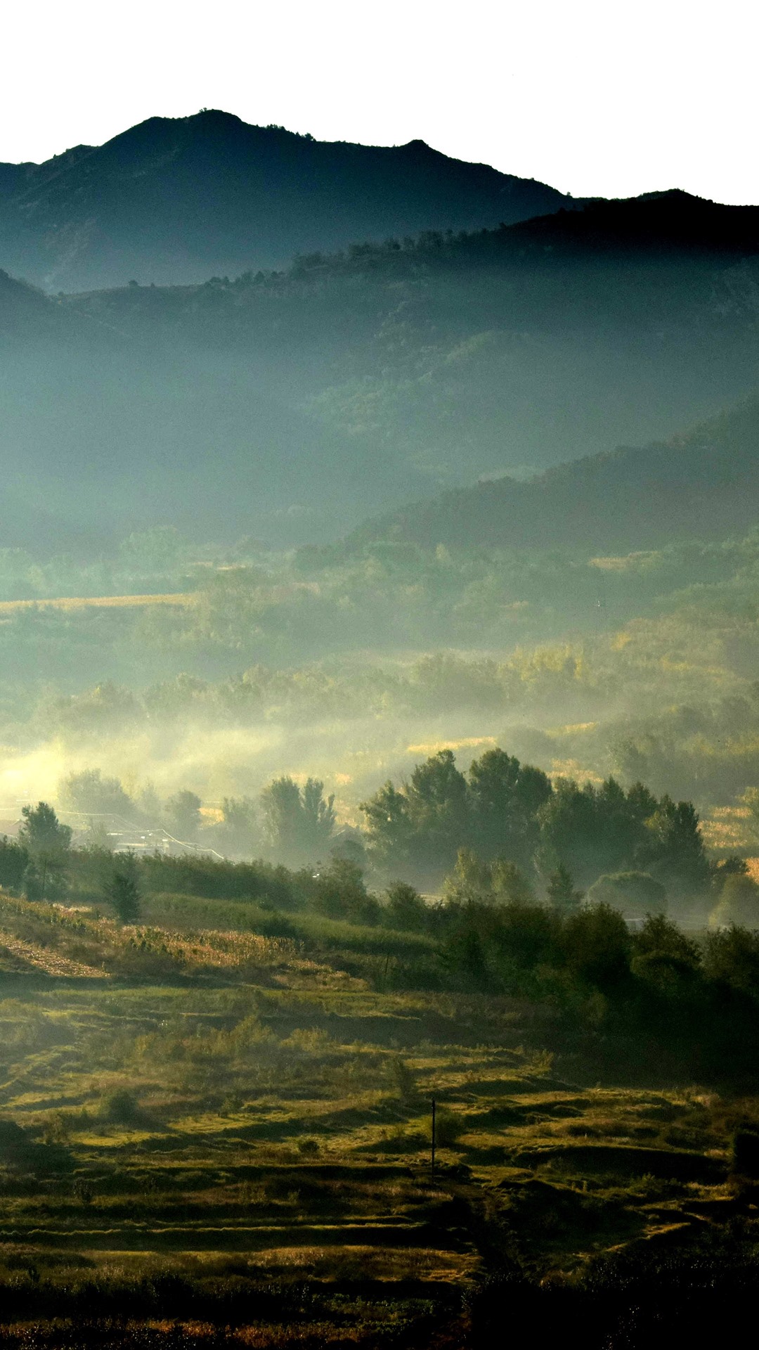 Morning, fog, mountains, fields