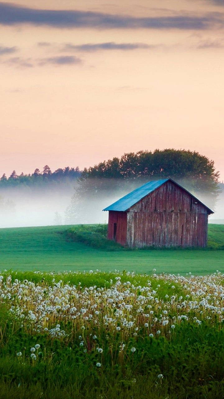 Country iPhone Background. Wallpaper