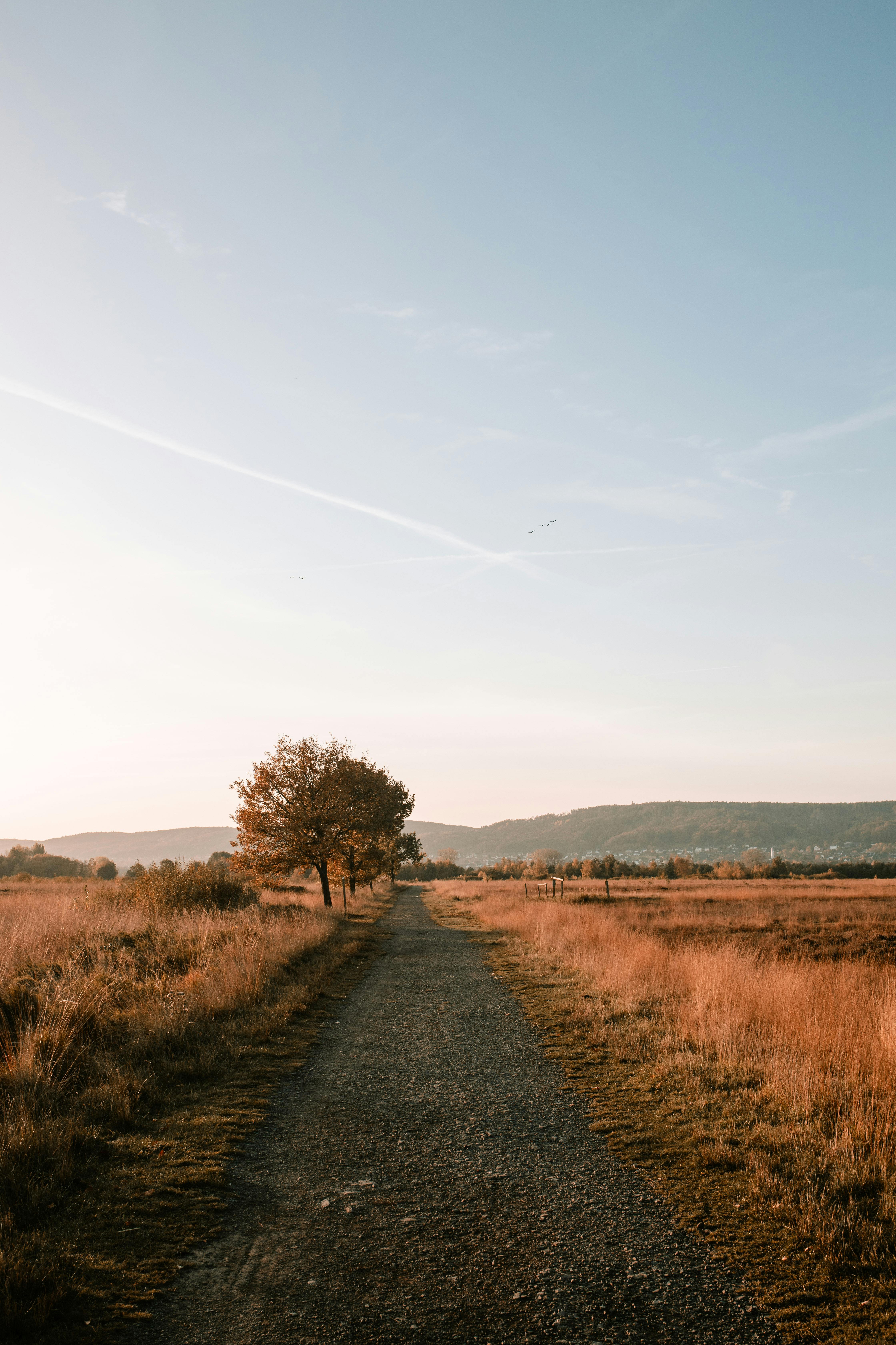 Clear Sky over Dirt Road in Countryside