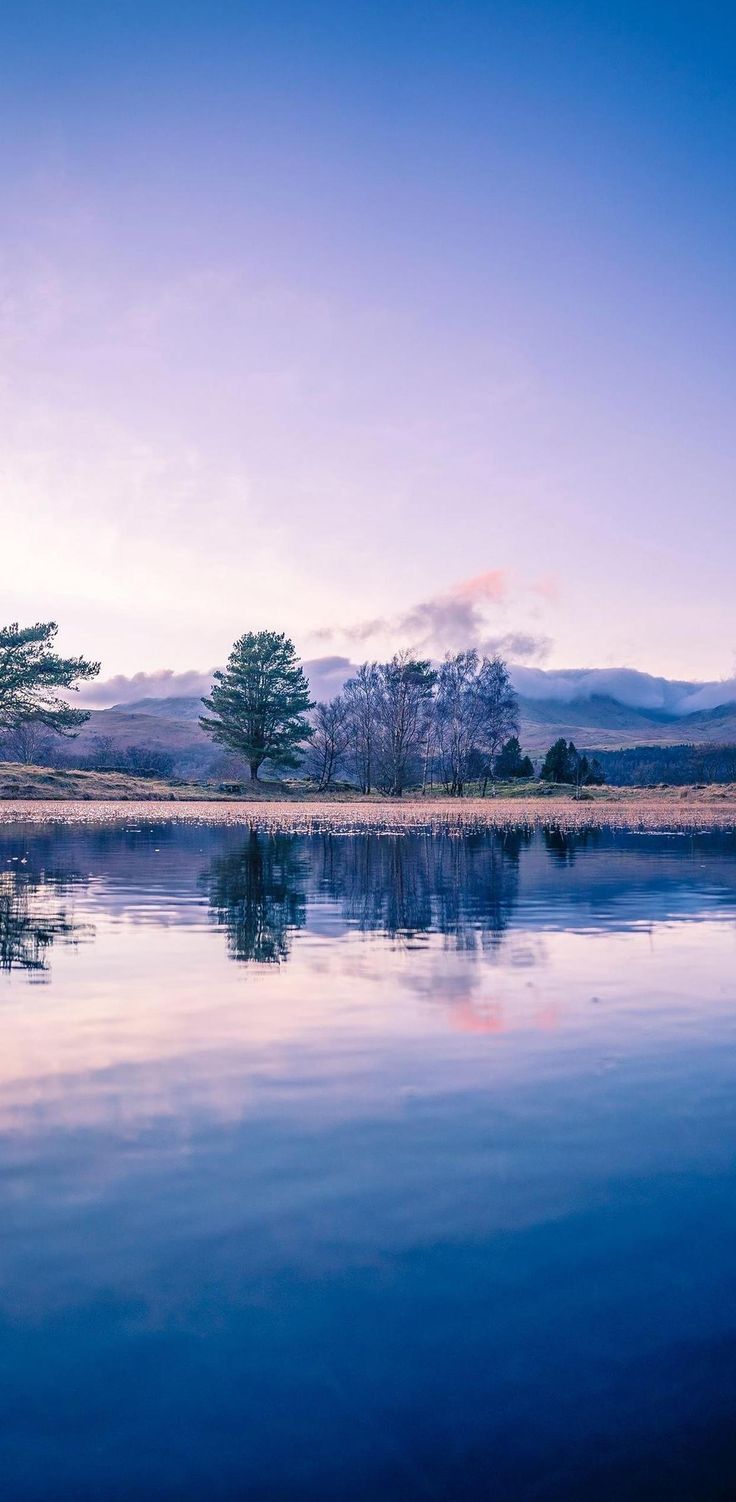 Wallpaper iPhone Wallpaper android