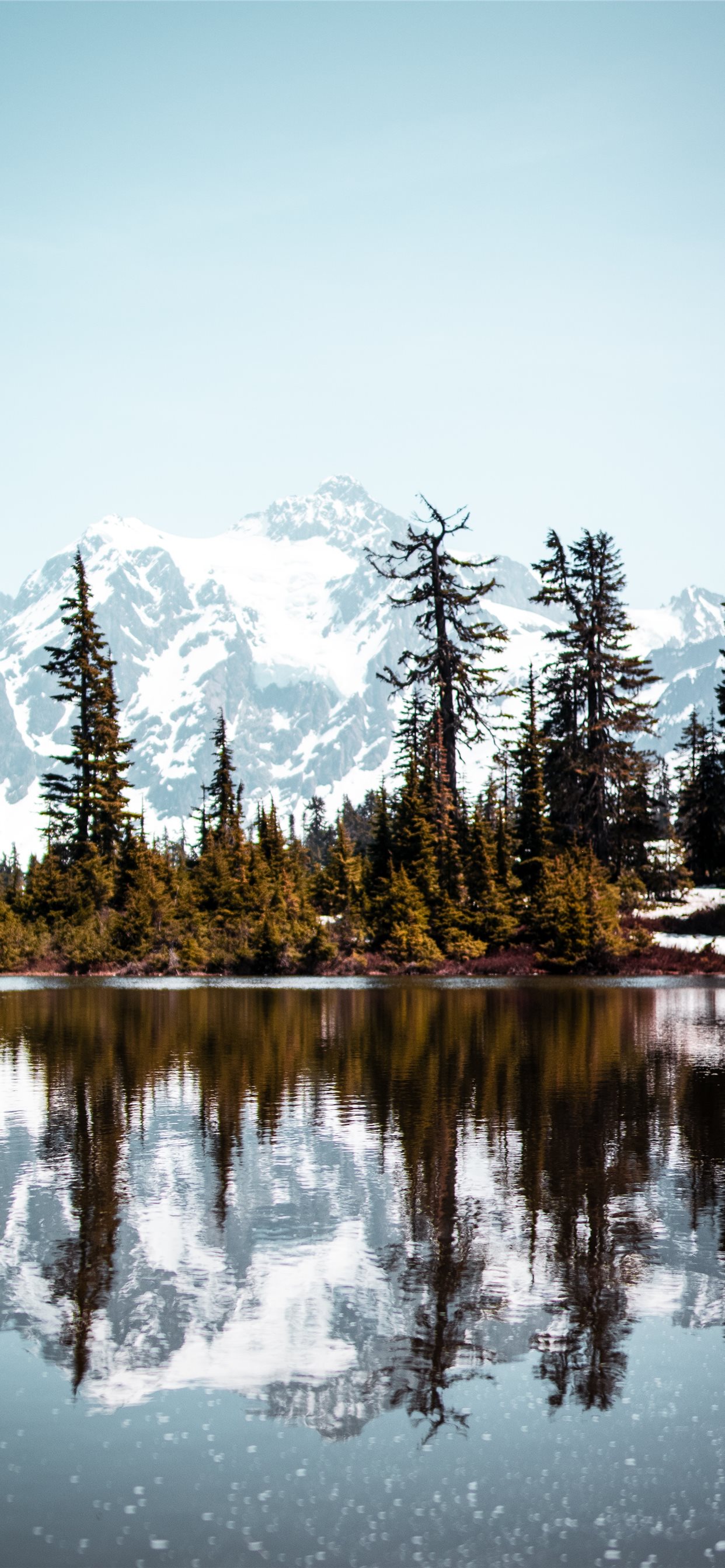 calm body of water iPhone 11 Wallpaper