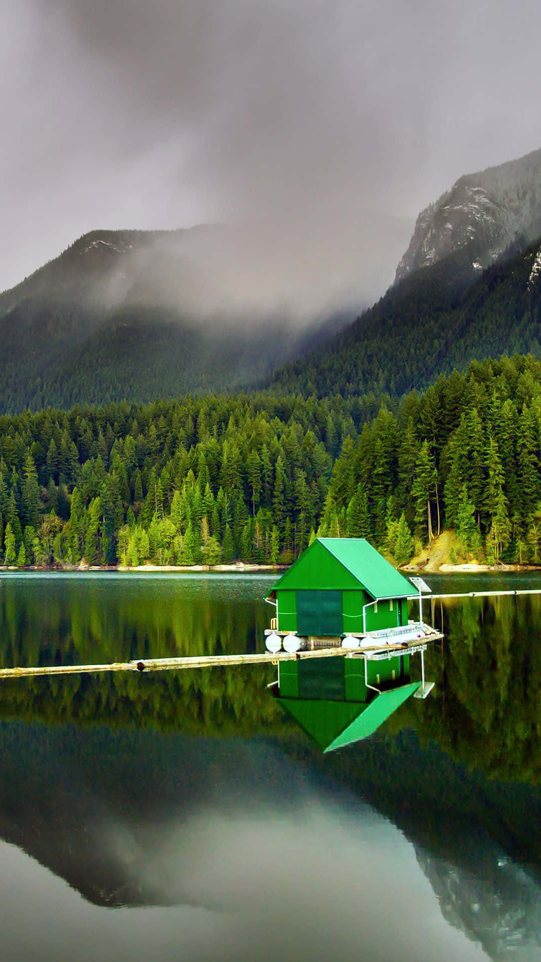 Download Green Floating House Nature