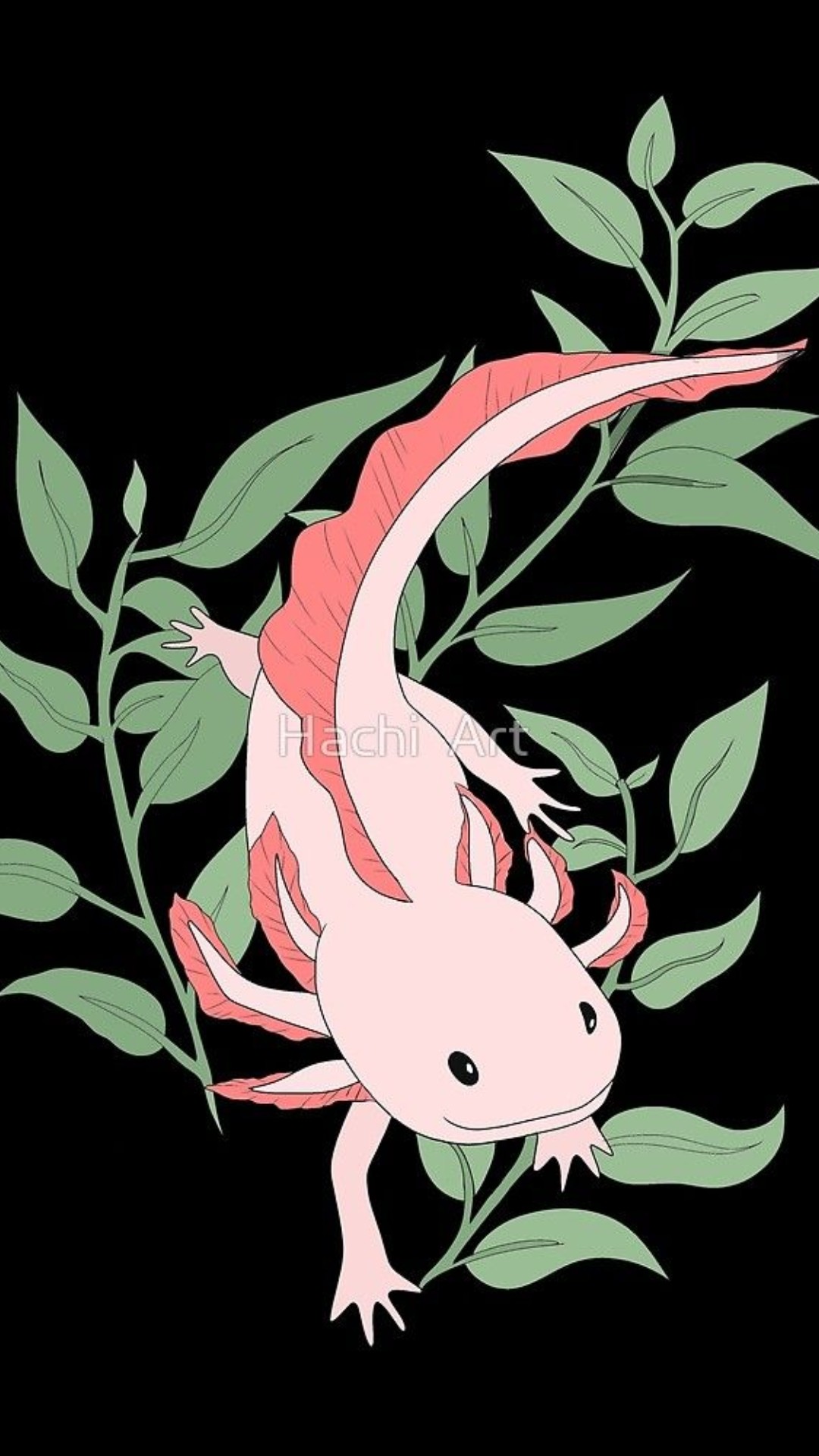 Best Axolotl iPhone Wallpaper