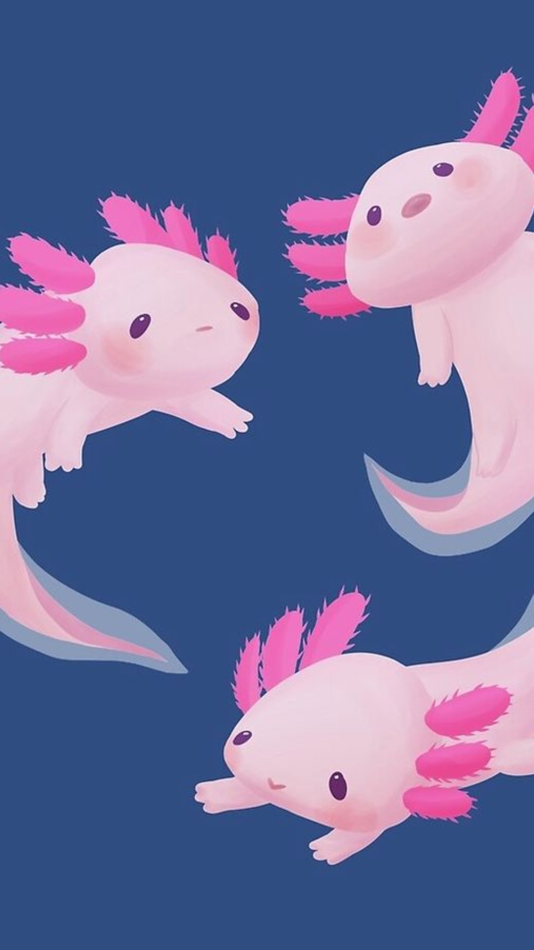 Best Axolotl iPhone Wallpaper