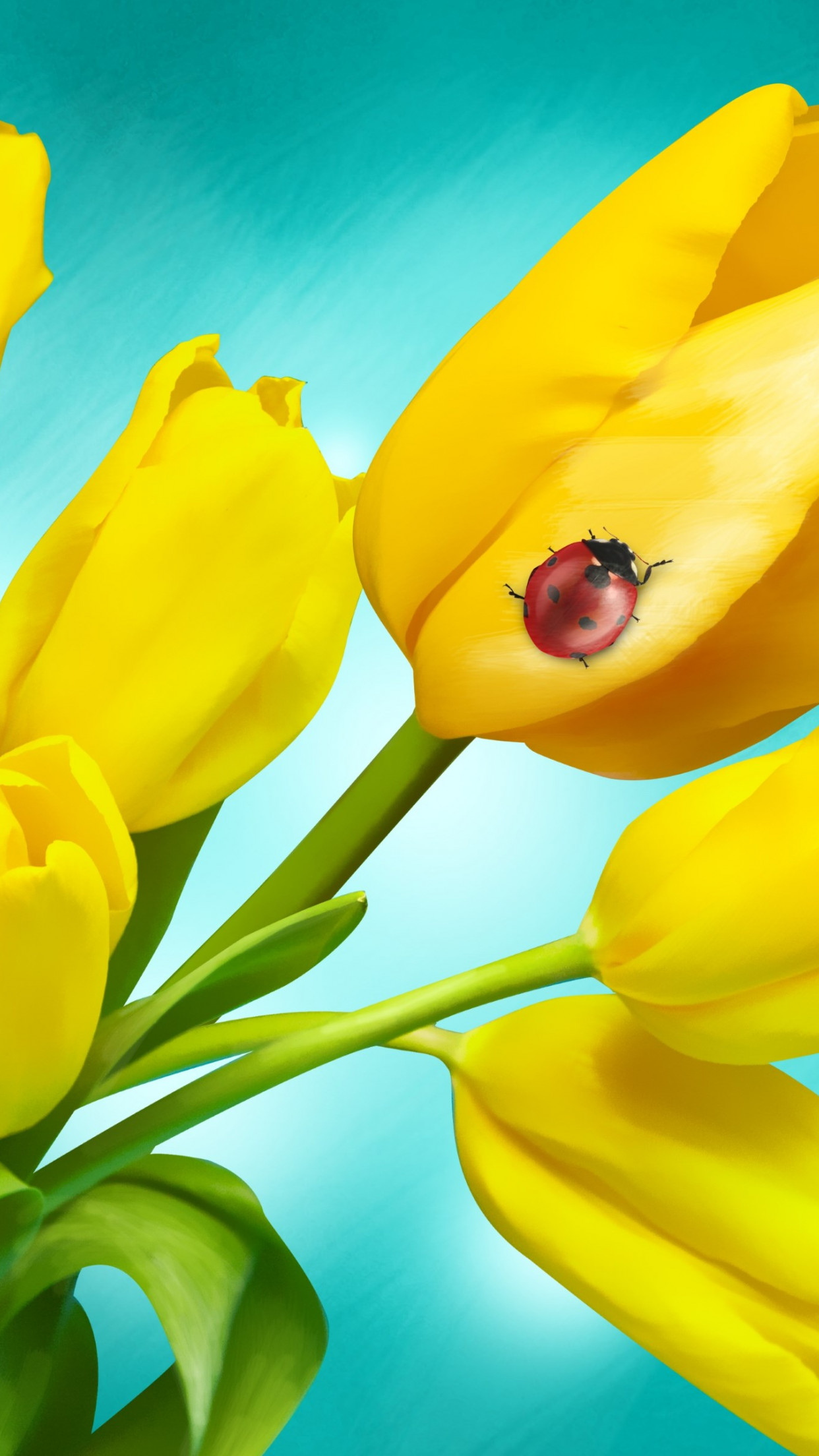Ladybird on yellow tulips 1242x2208