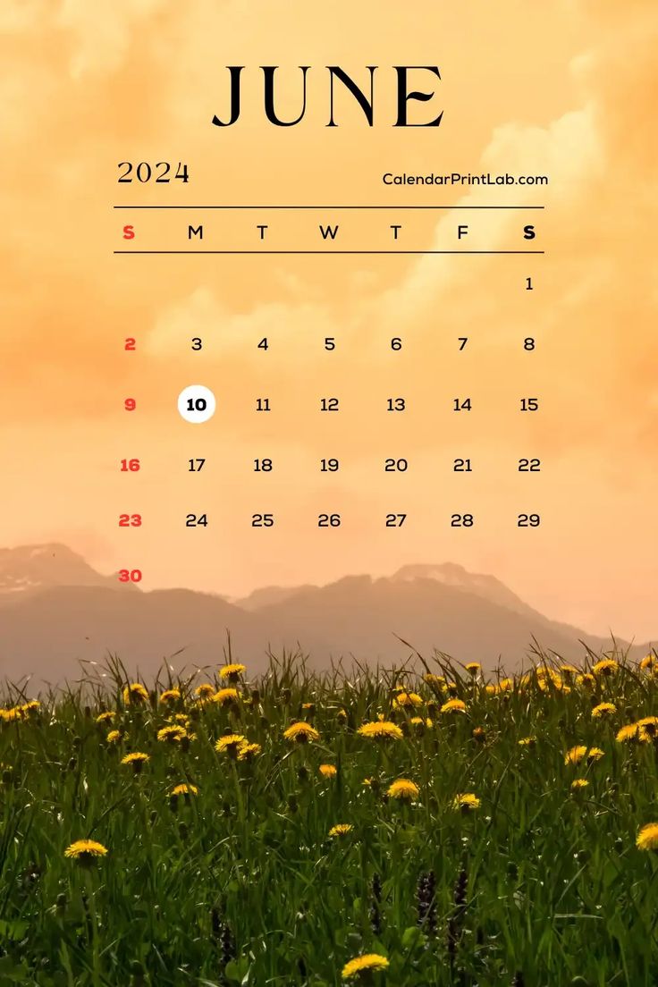 iPhone June 2024 Calendar Wallpaper