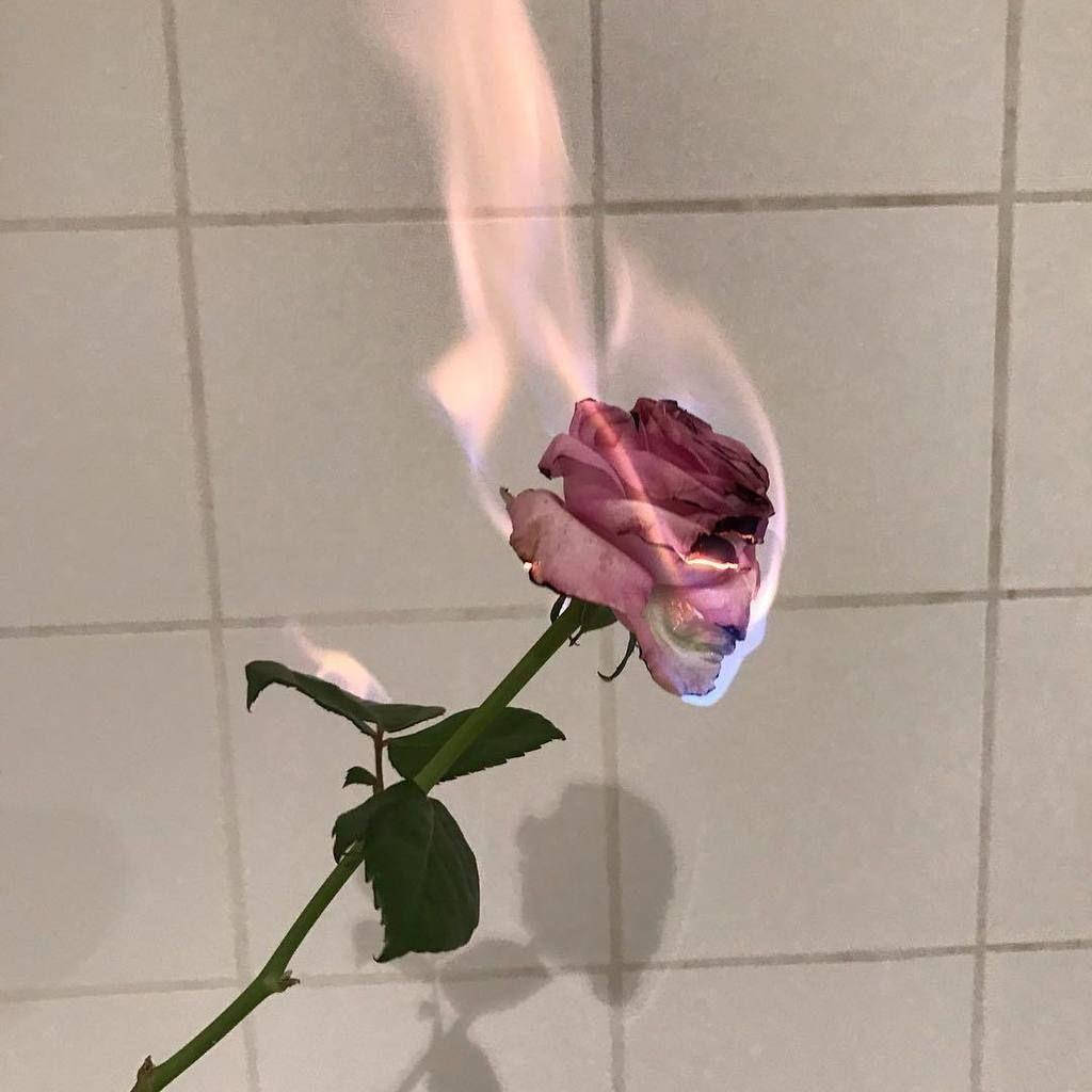 Download Pink Vintage Aesthetic Flaming