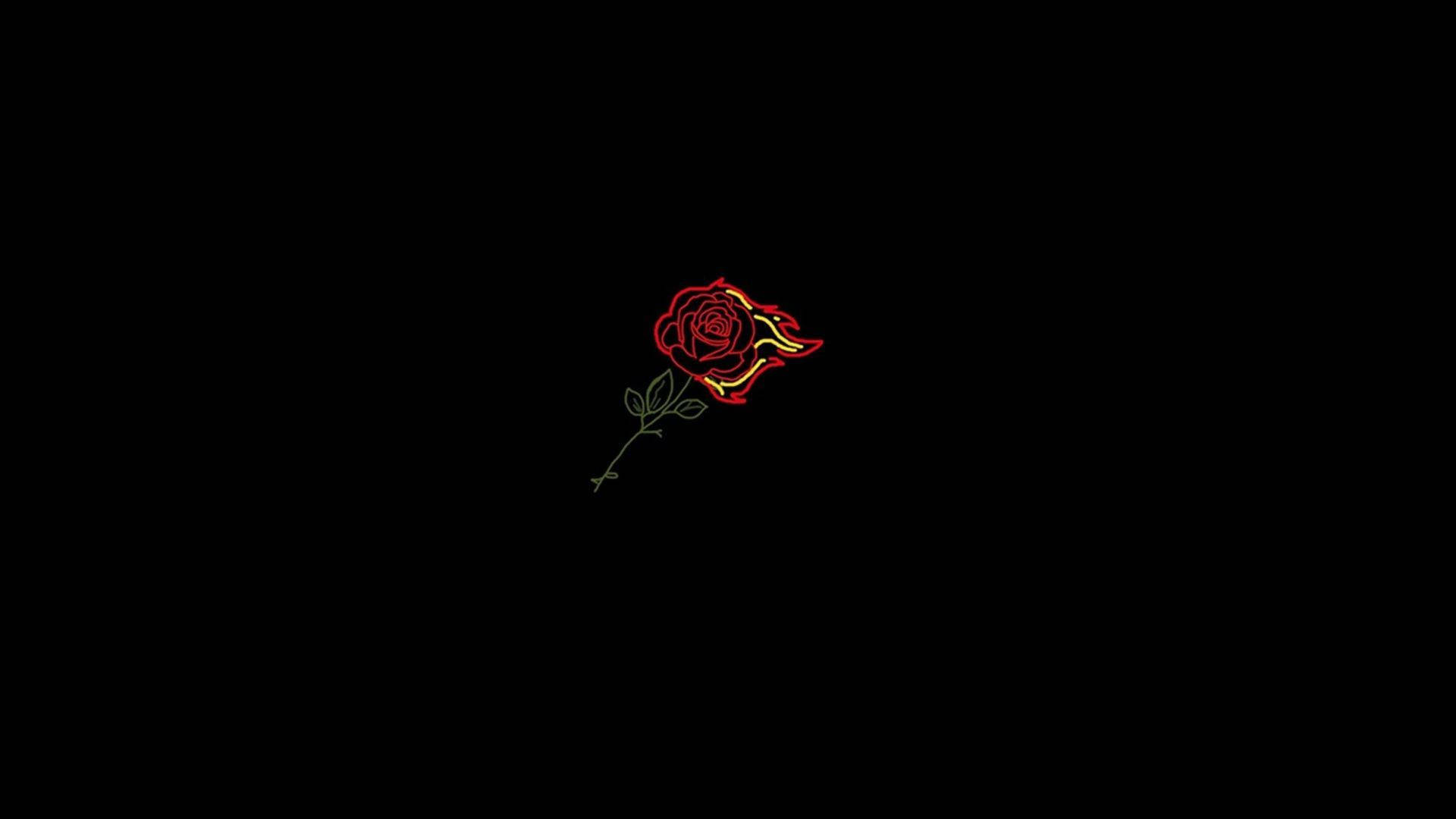 Download Flaming Rose Aesthetic Profile