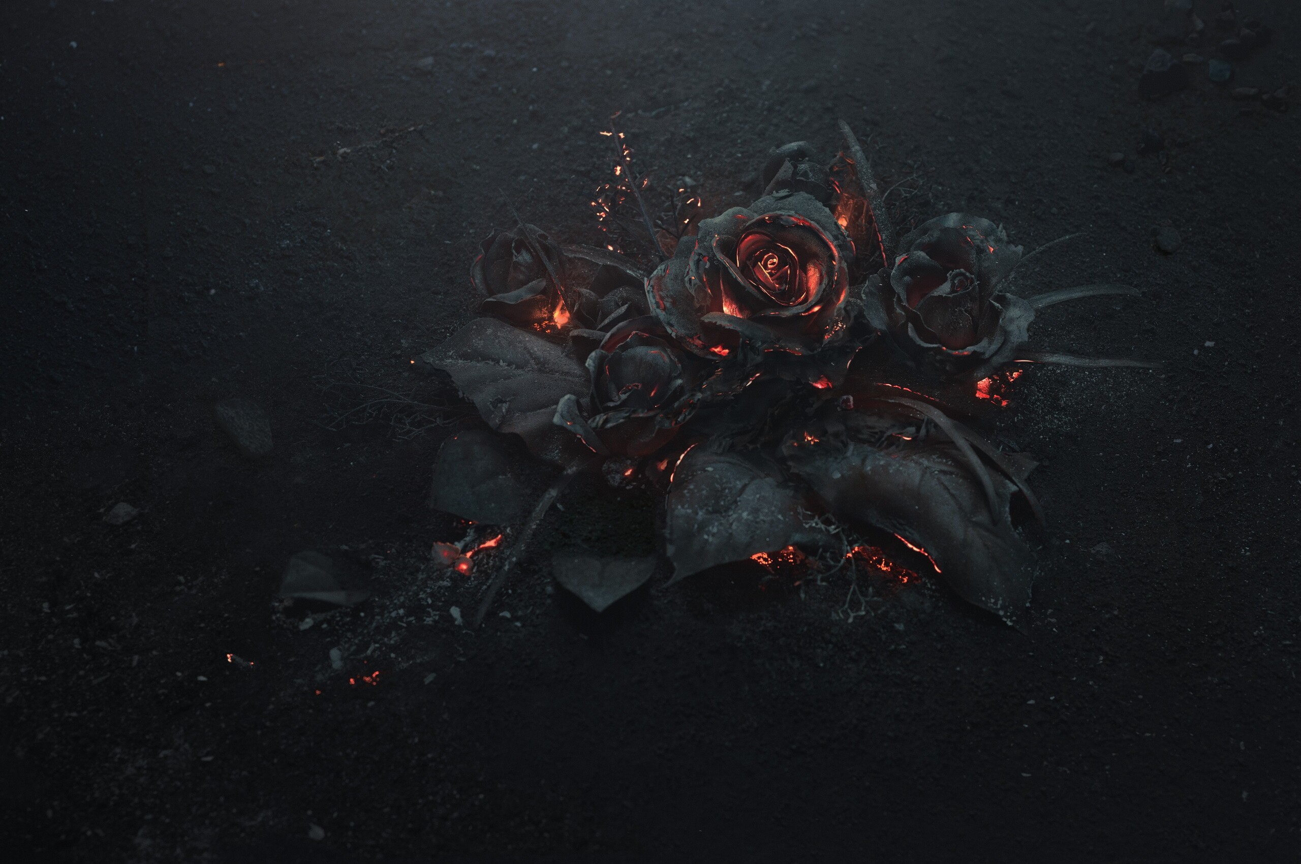 Burning Roses 5k Chromebook