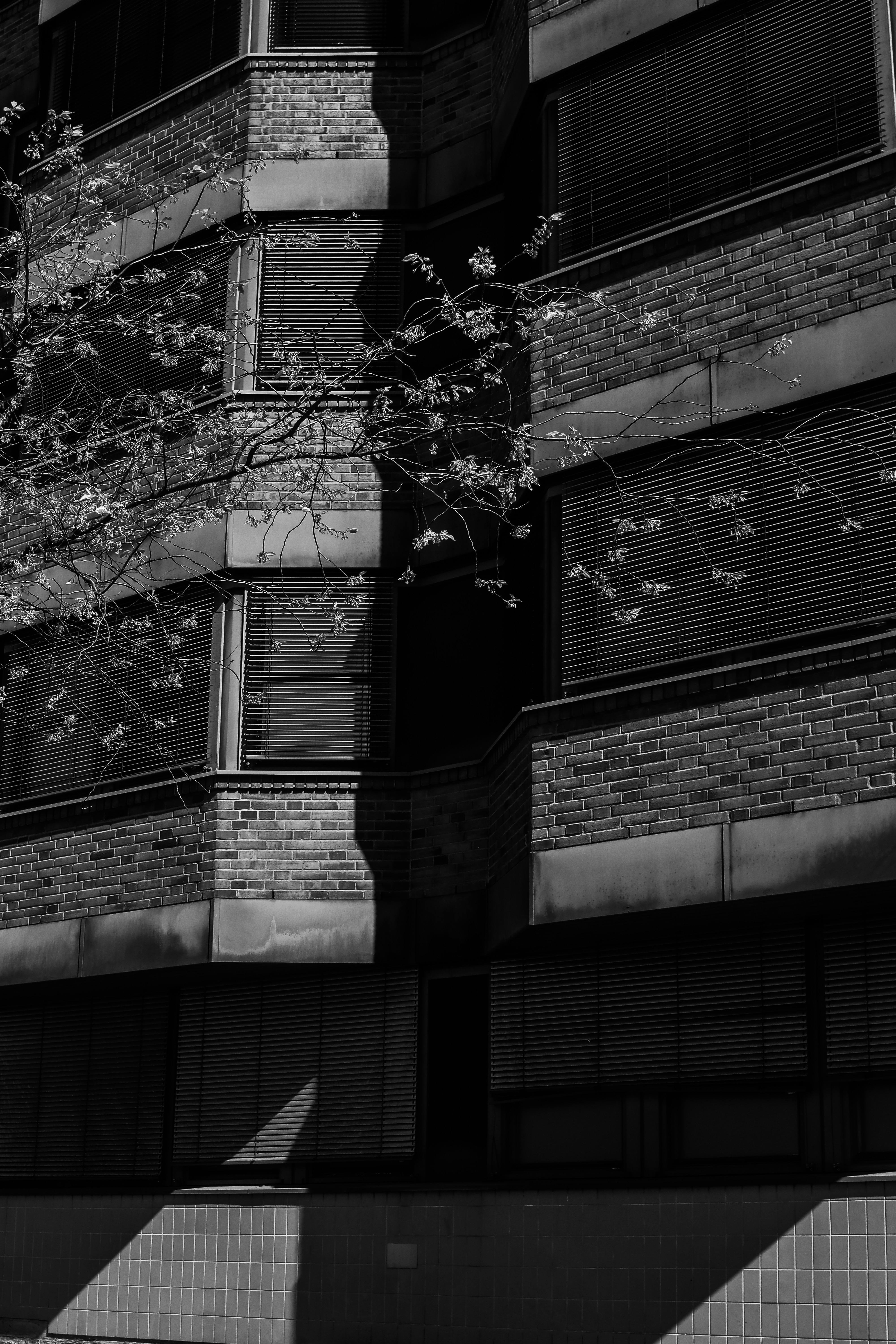Modern Style Building · Free