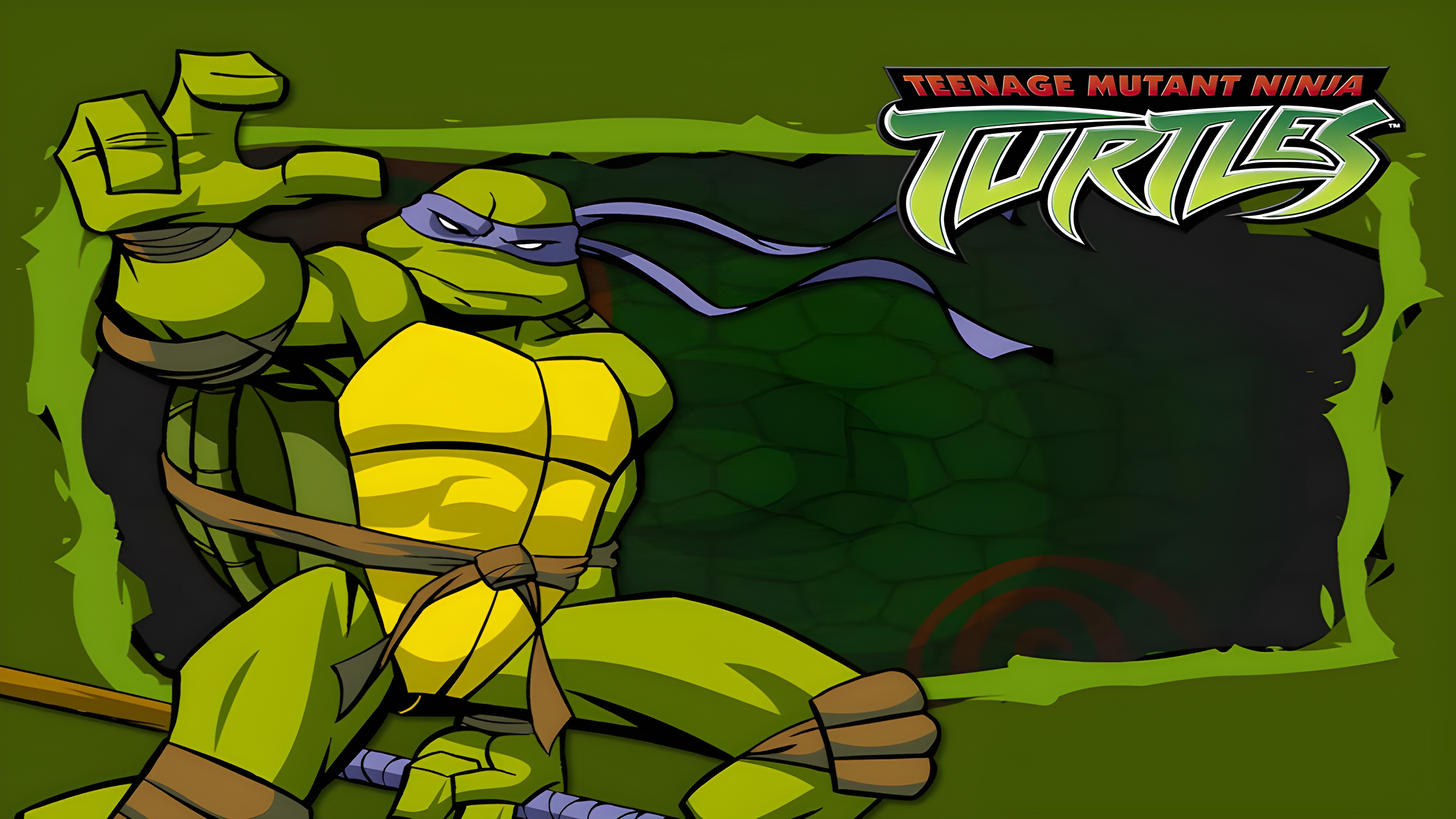 Green Ninja Turtle Donatello TMNT