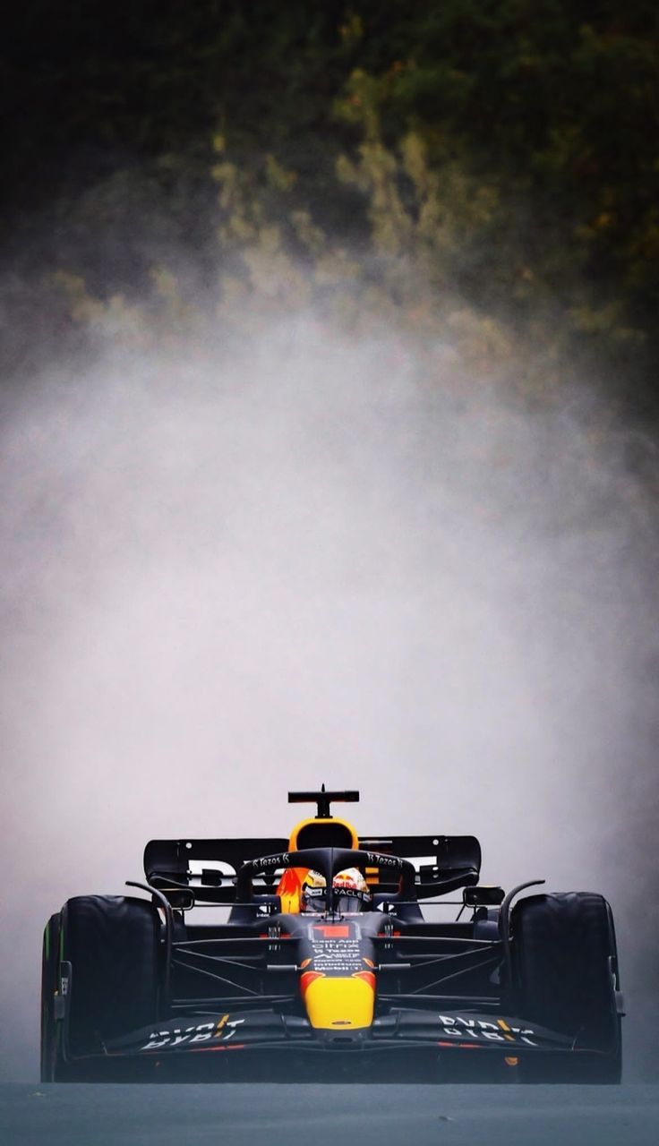 Max Verstappen. Fotos de carros