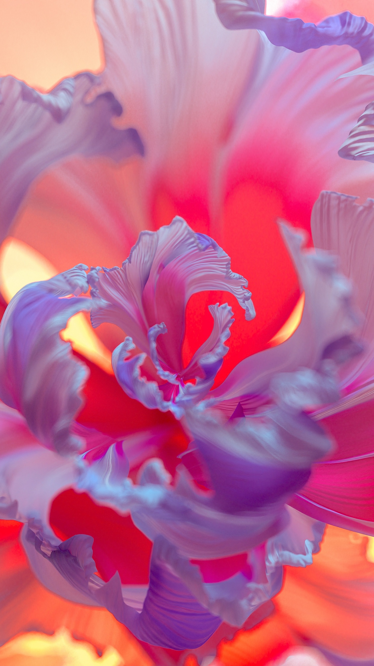 Purple Flower Wallpaper 4K, Floral