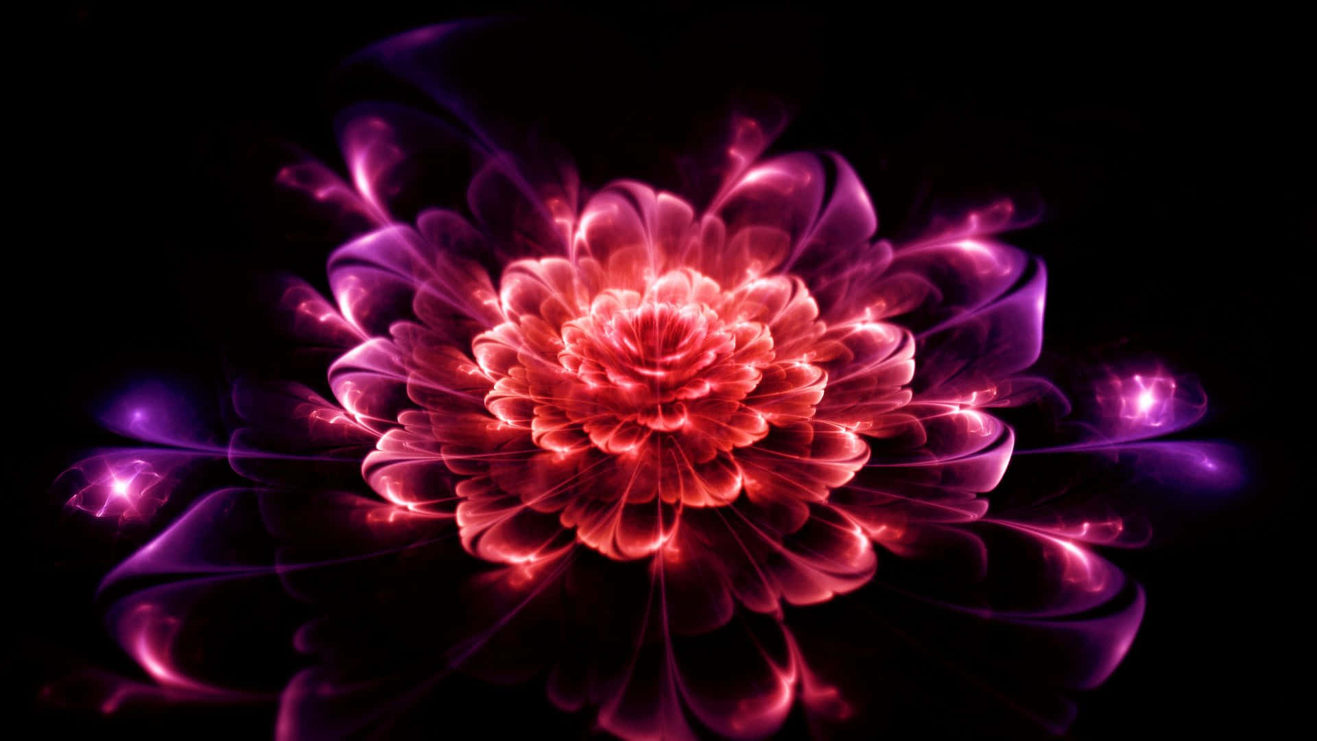 Flower Art Wallpaper