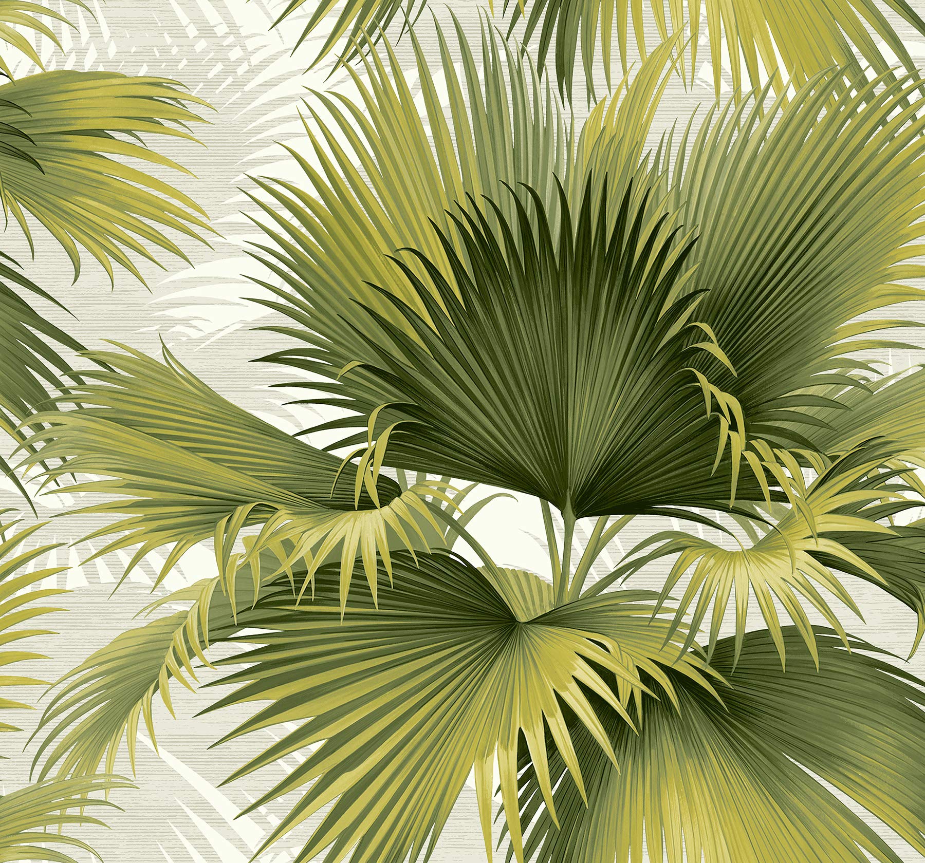Kenneth James 2927 40114 Summer Palm