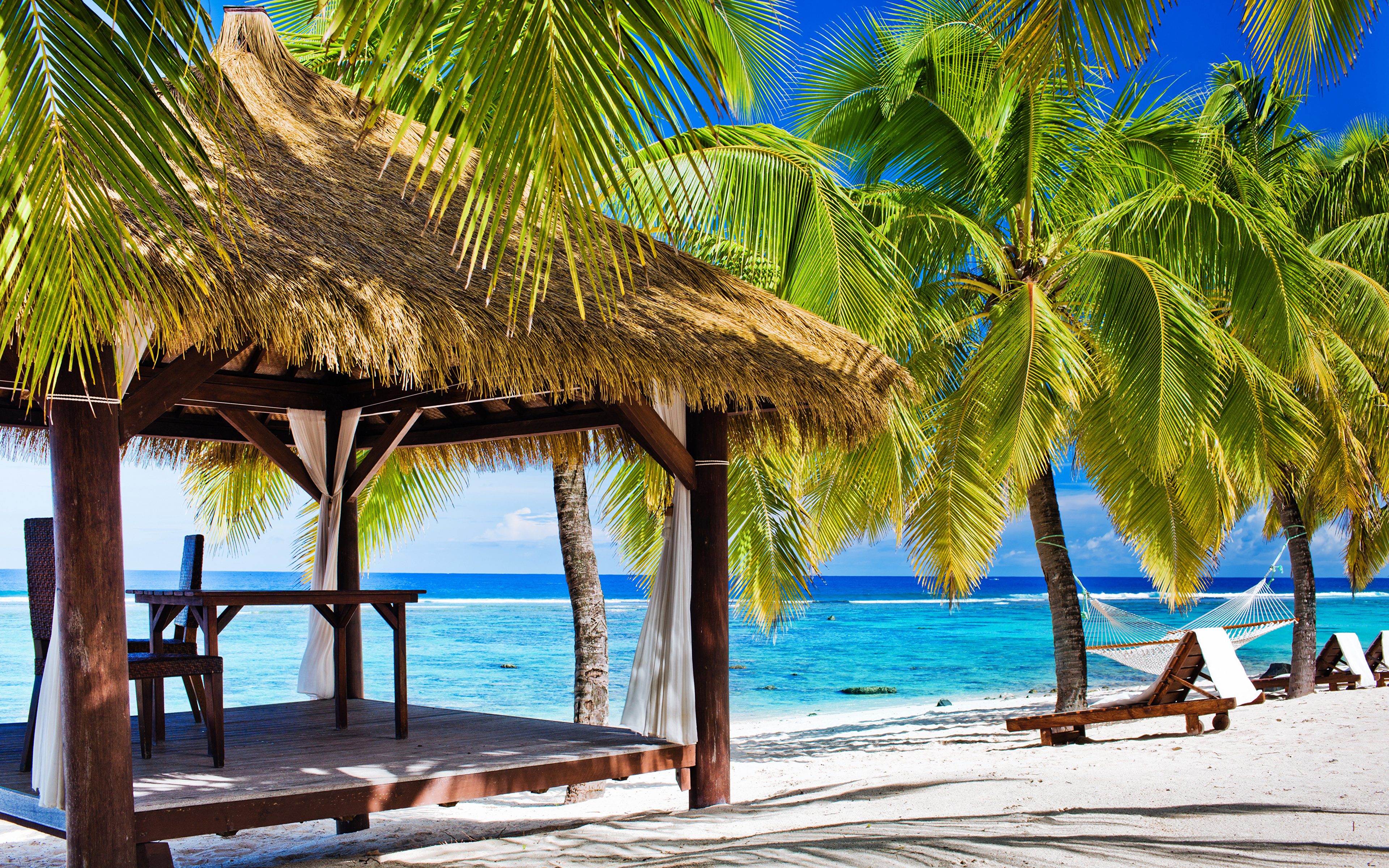 beaches Summer Nature palm trees 3840x2400