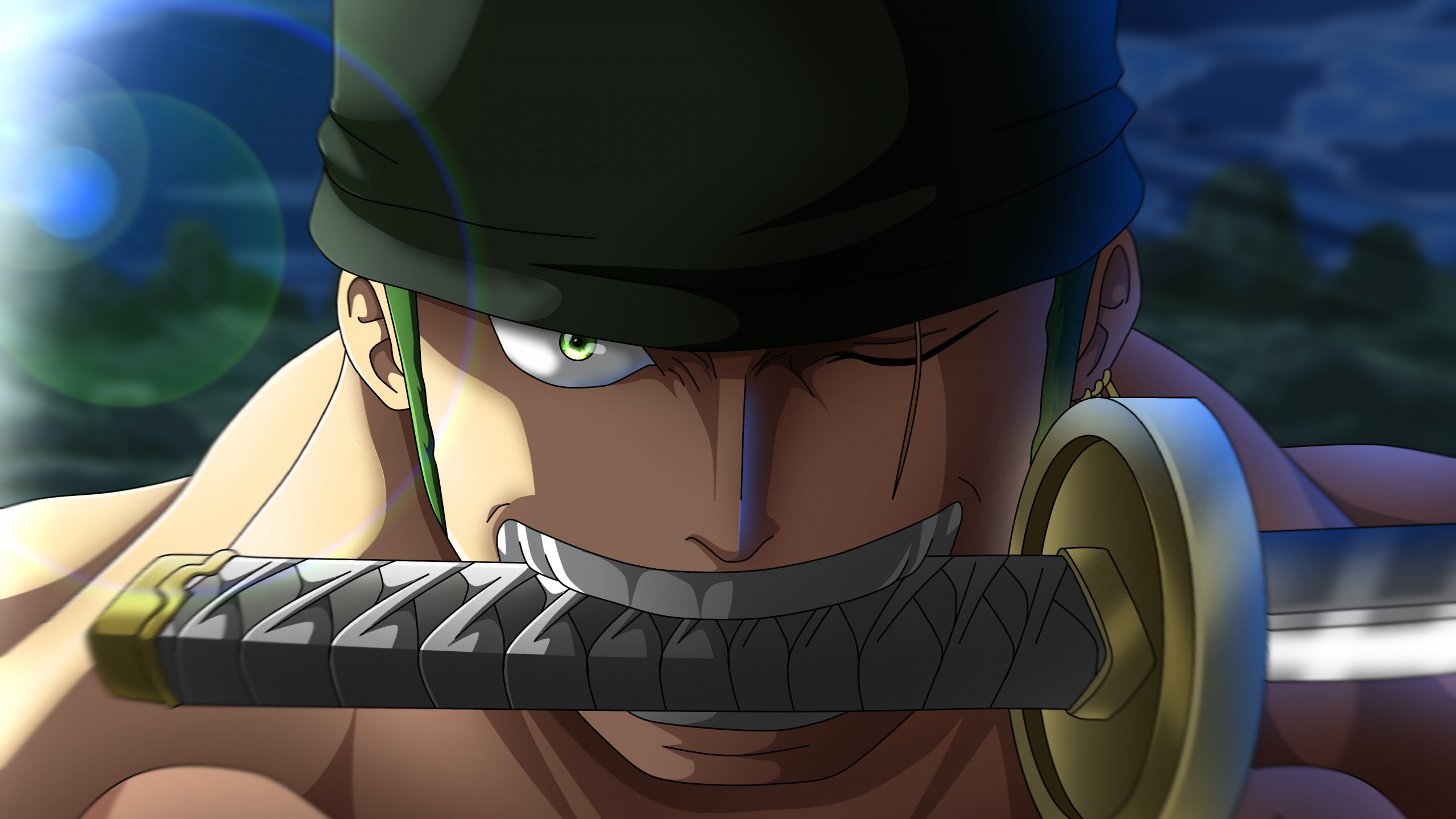 Roronoa Zoro Wallpaper 4K, Katana, Wado