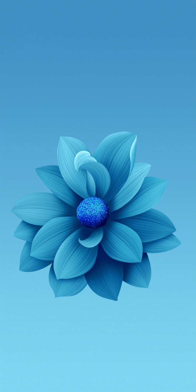 Blue flower wallpaper, Xiaomi wallpaper