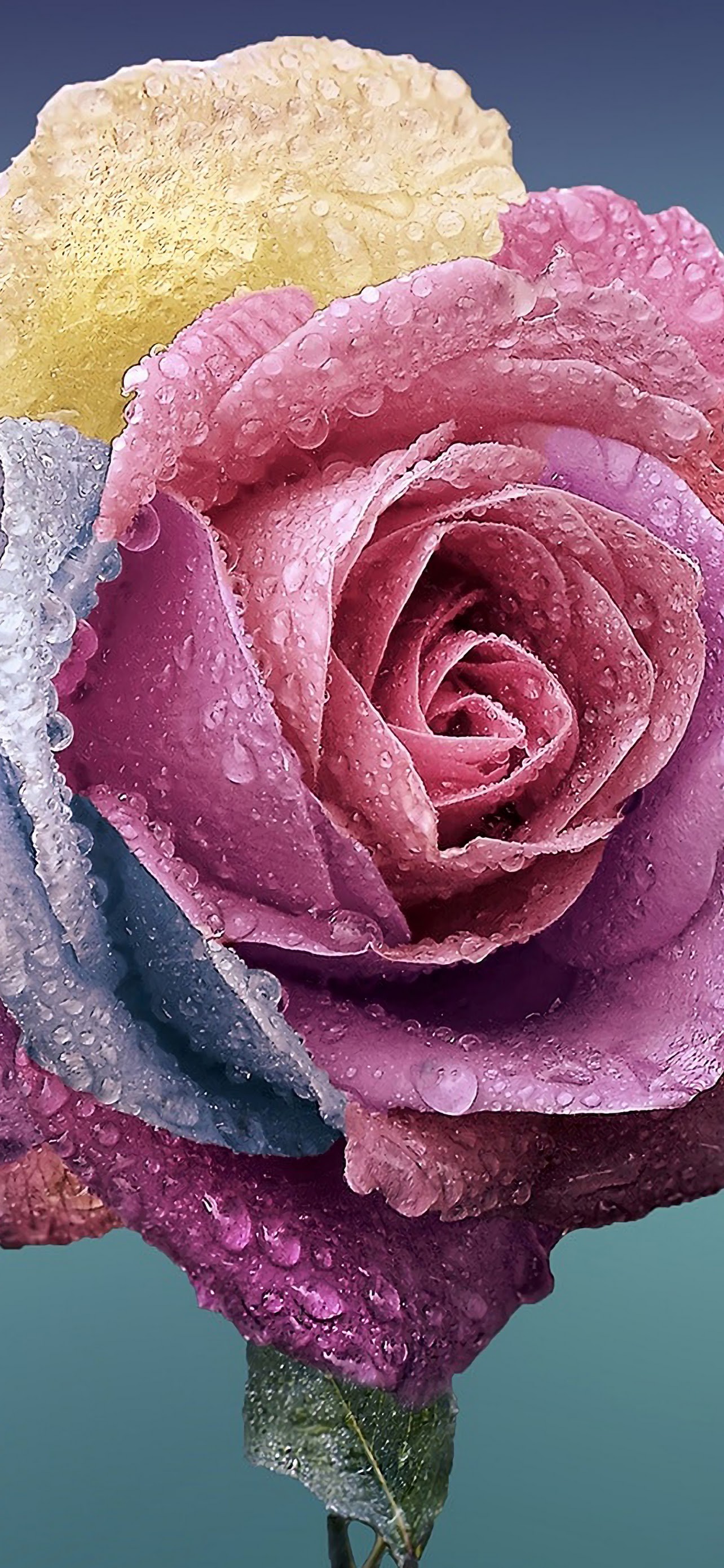 Flowers Close Up 4K Wallpaper