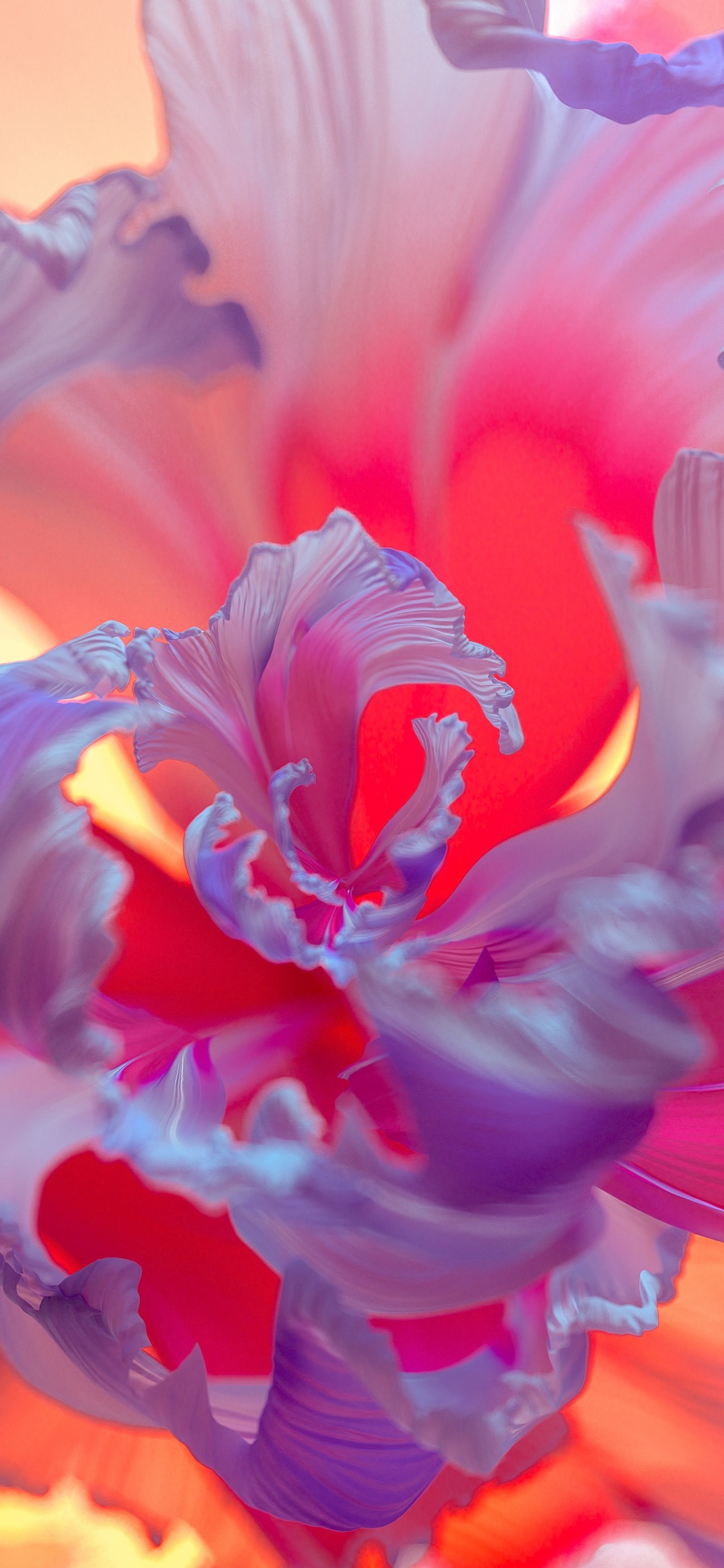 Purple Flower Wallpaper 4K, Floral