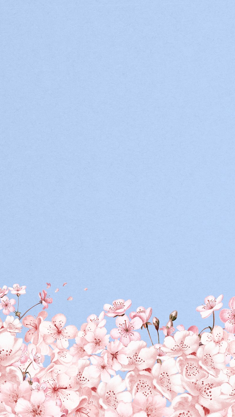 iPhone Wallpaper Background Cherry