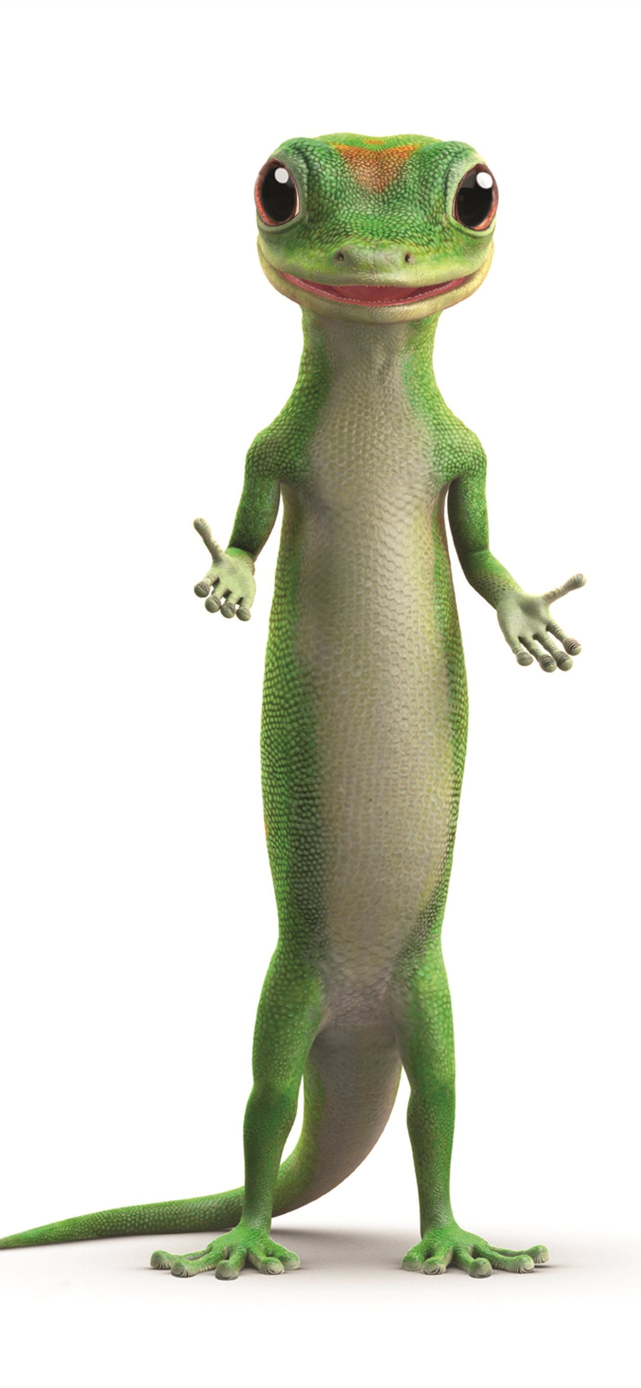 Best Gecko iPhone HD Wallpaper